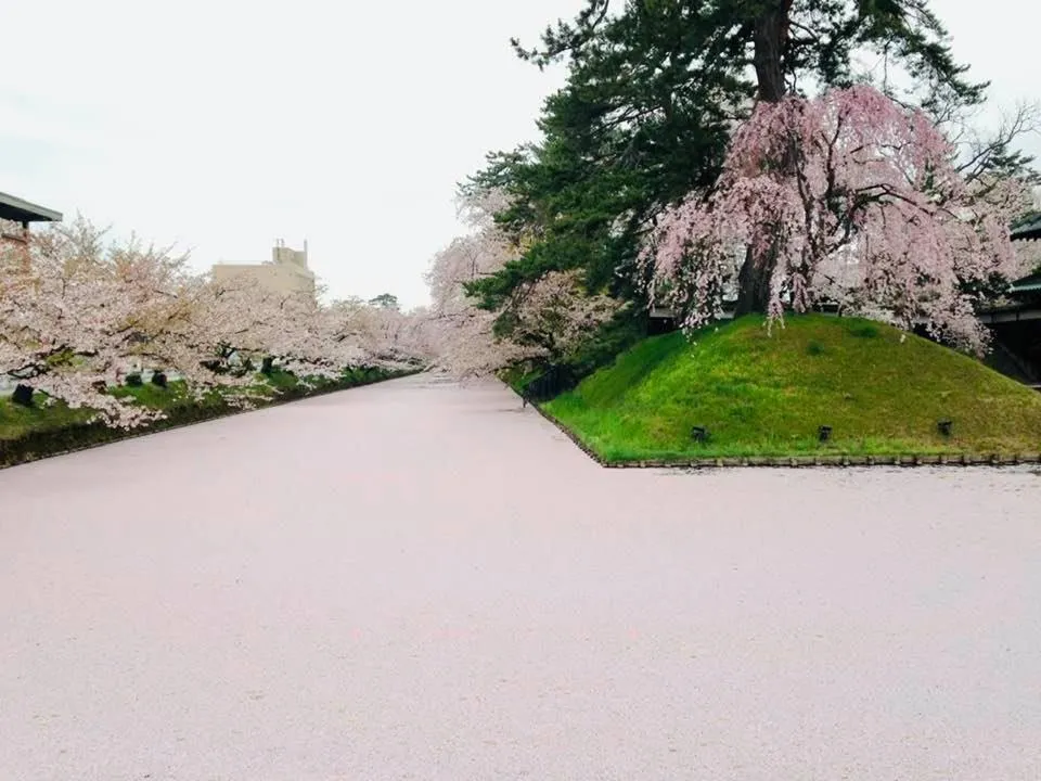 Historical Ryokan SENYUKAN