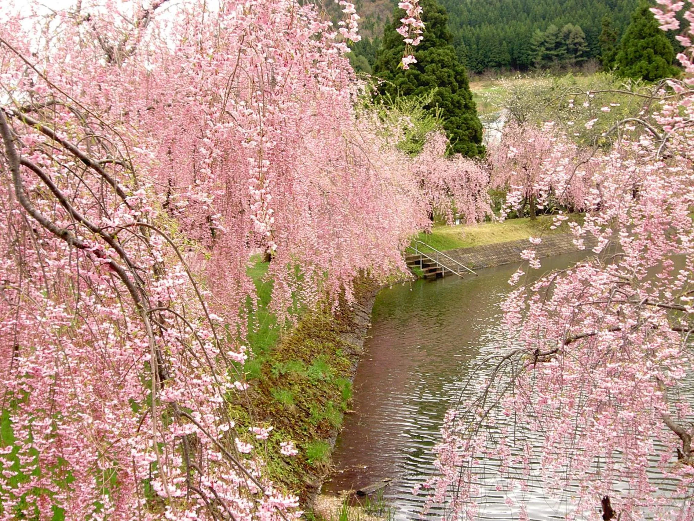 Historical Ryokan SENYUKAN