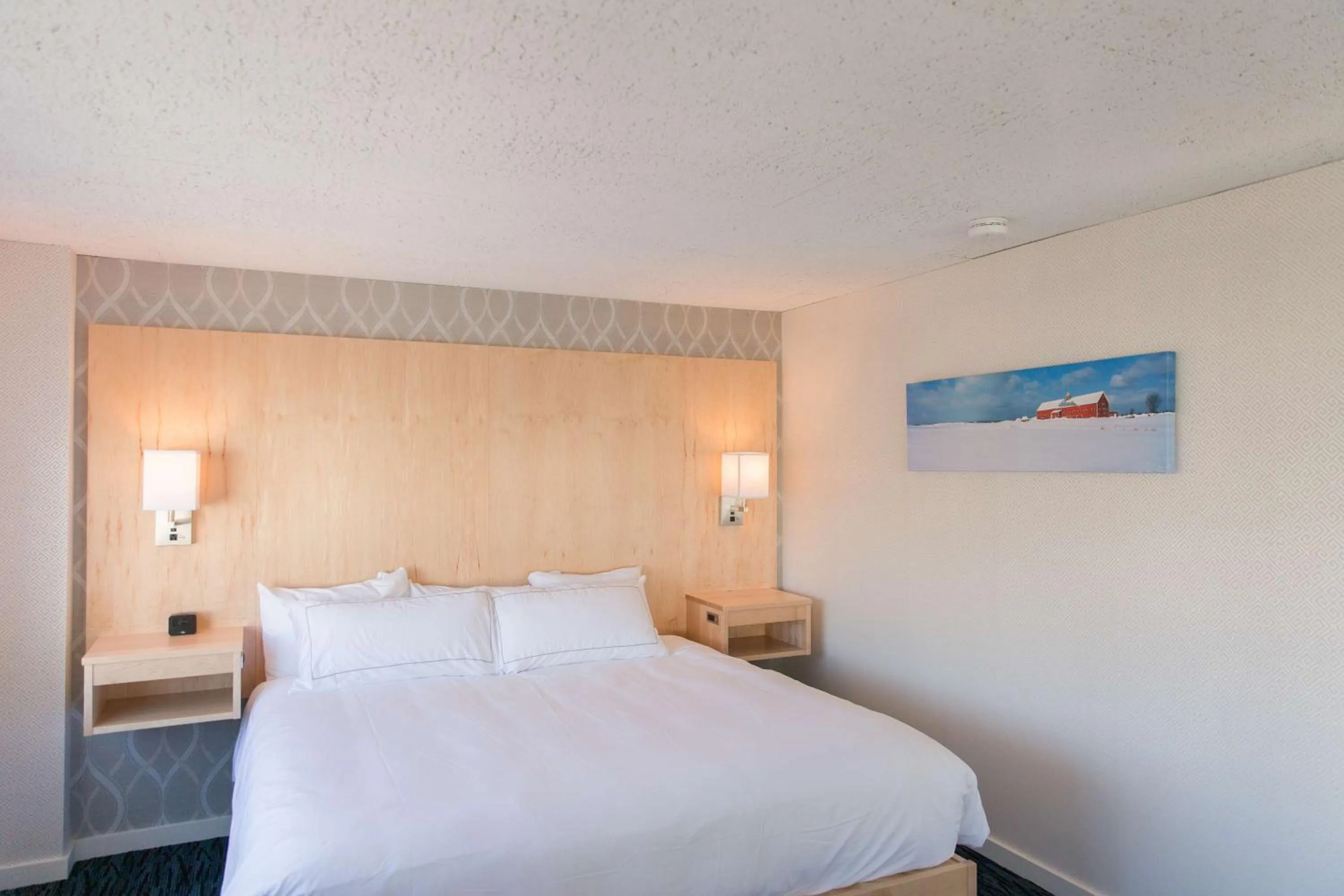 Bed in Capitol Plaza Hotel Montpelier Tapestry Collection by Hilton