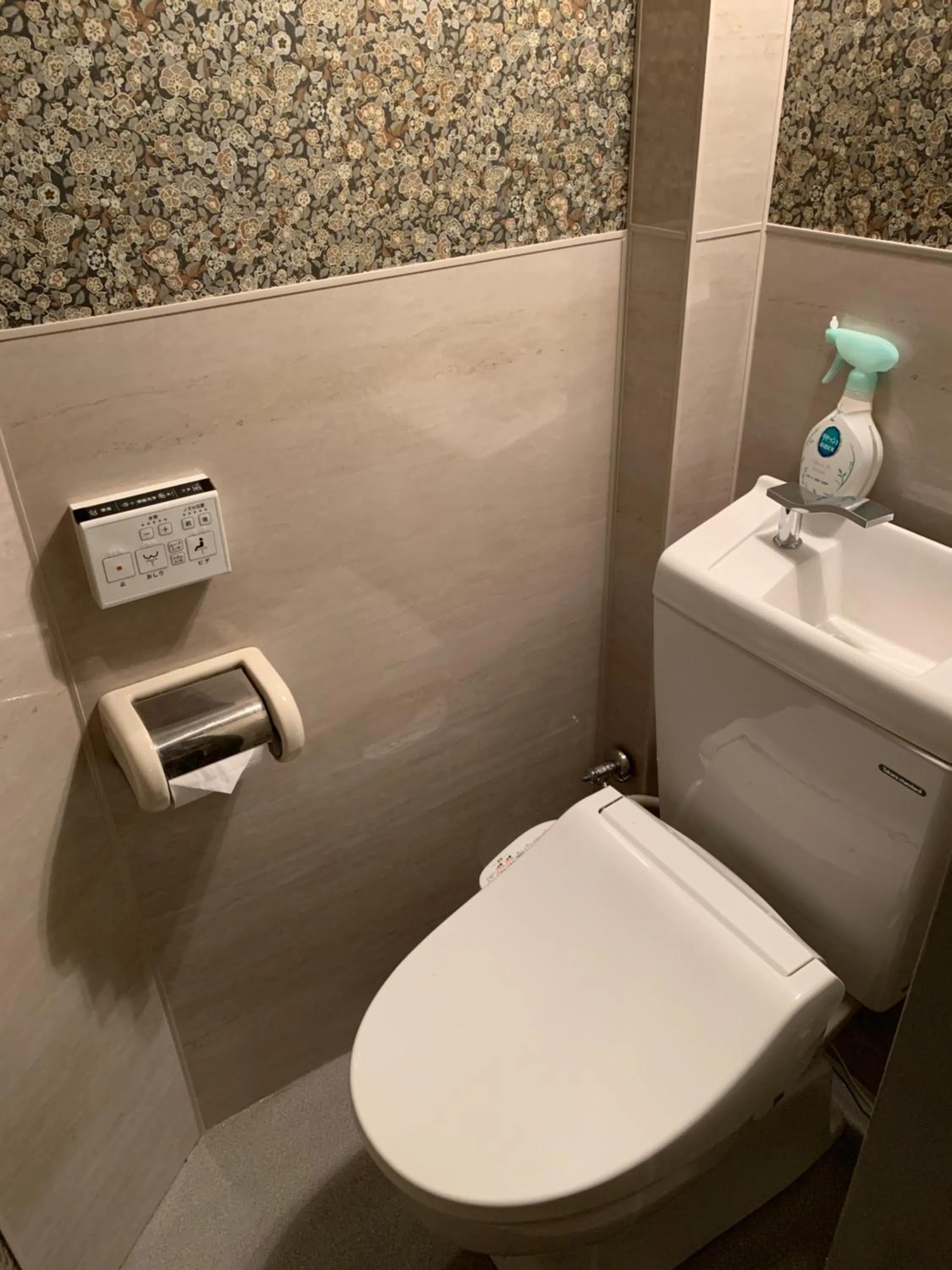 Toilet in City Hotel Southern Cross