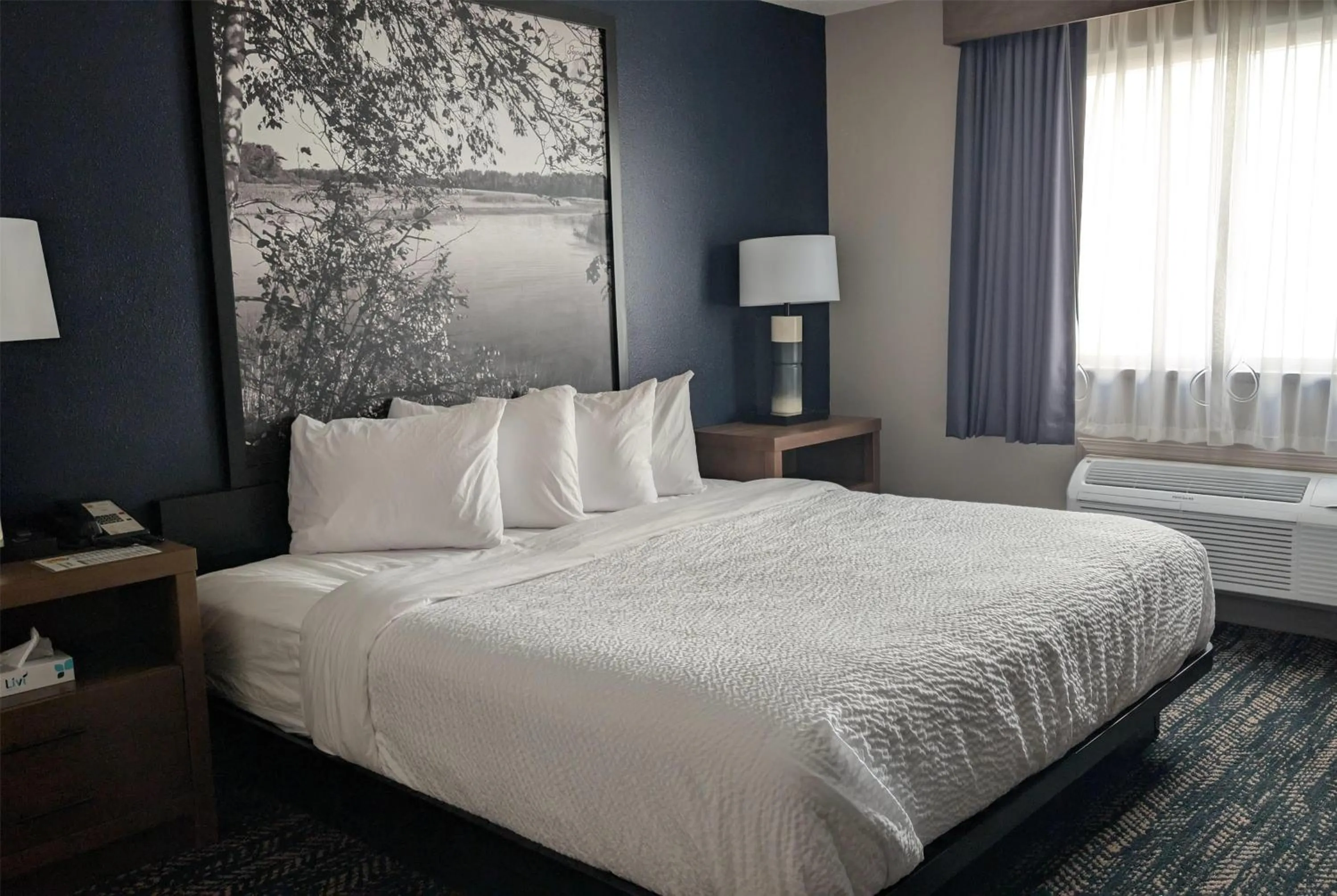 Photo of the whole room, Bed in Super 8 by Wyndham Perham