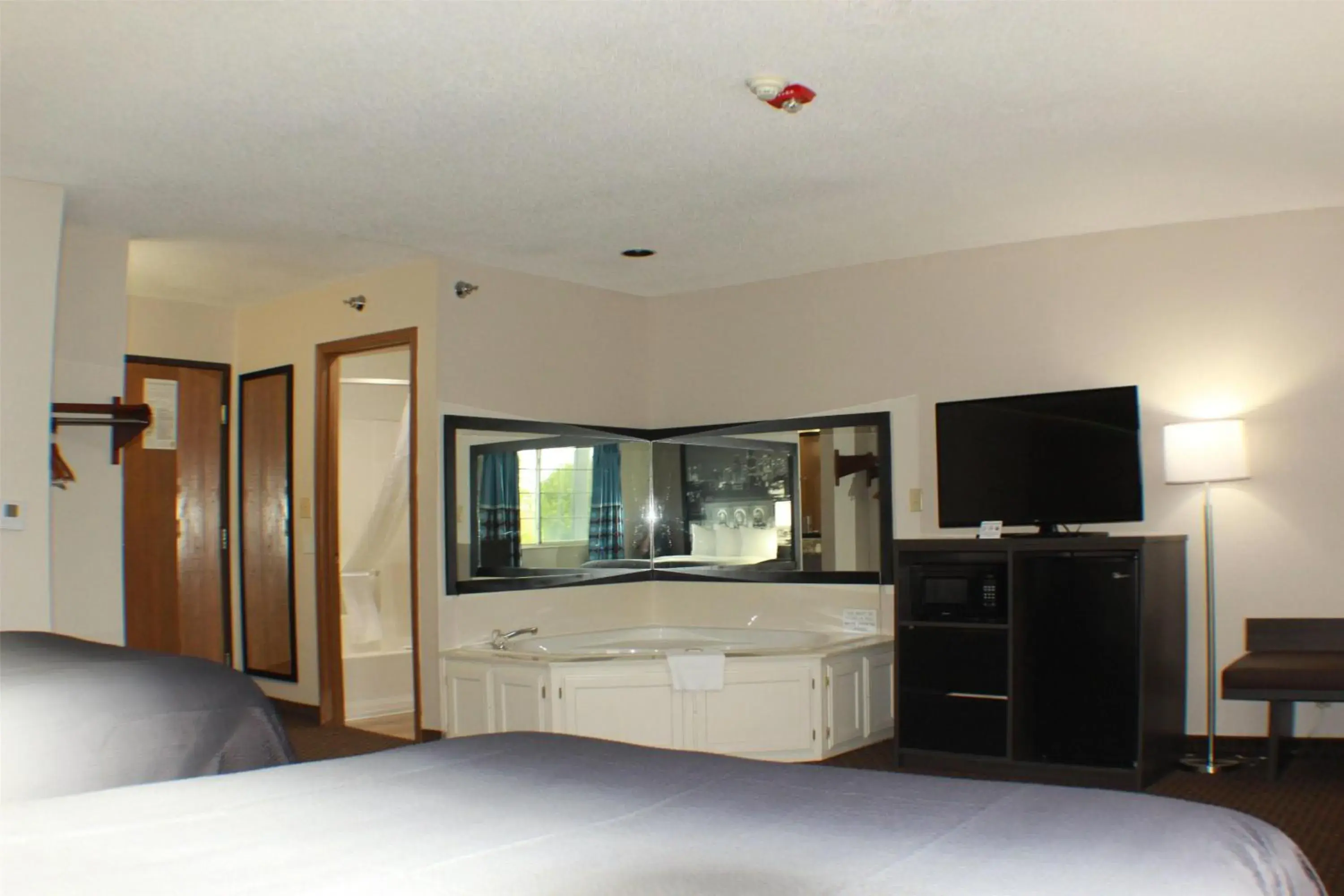 Photo of the whole room, Bed in Super 8 by Wyndham Gardner Photo of the whole room, Bed in Super 8 by Wyndham Gardner