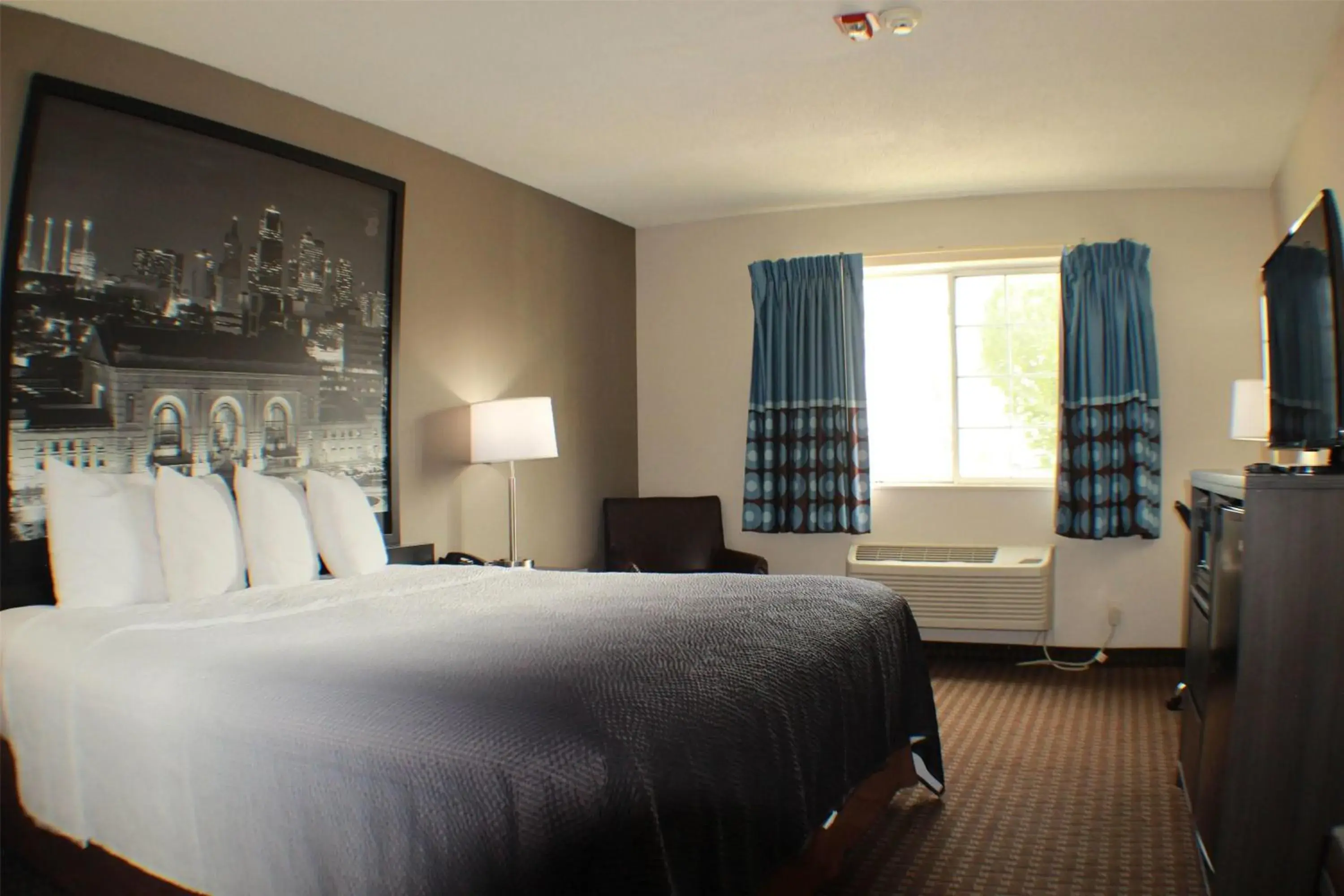 Photo of the whole room, Bed in Super 8 by Wyndham Gardner Photo of the whole room, Bed in Super 8 by Wyndham Gardner
