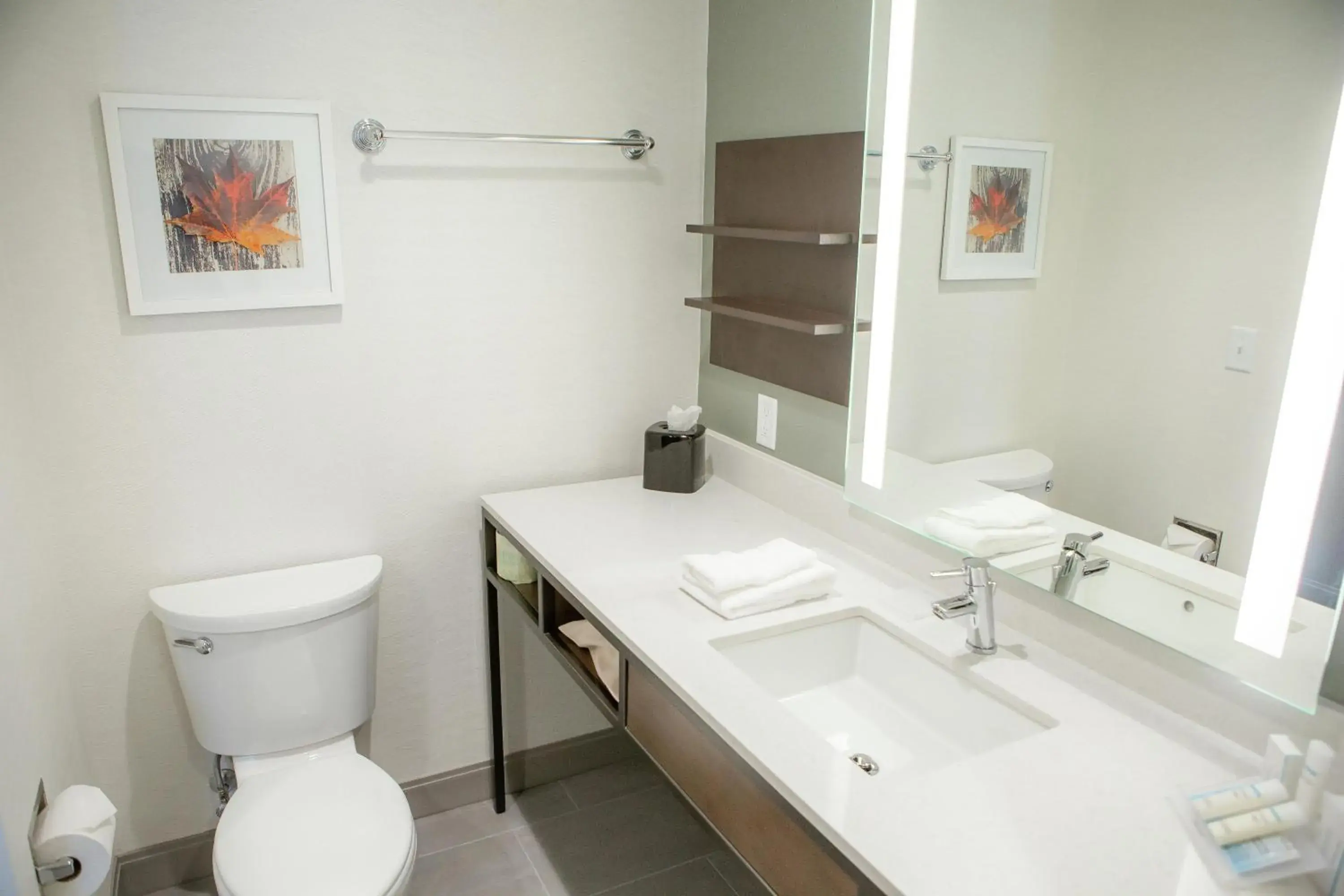 Bathroom in Hilton Garden Inn Corning Downtown Bathroom in Hilton Garden Inn Corning Downtown