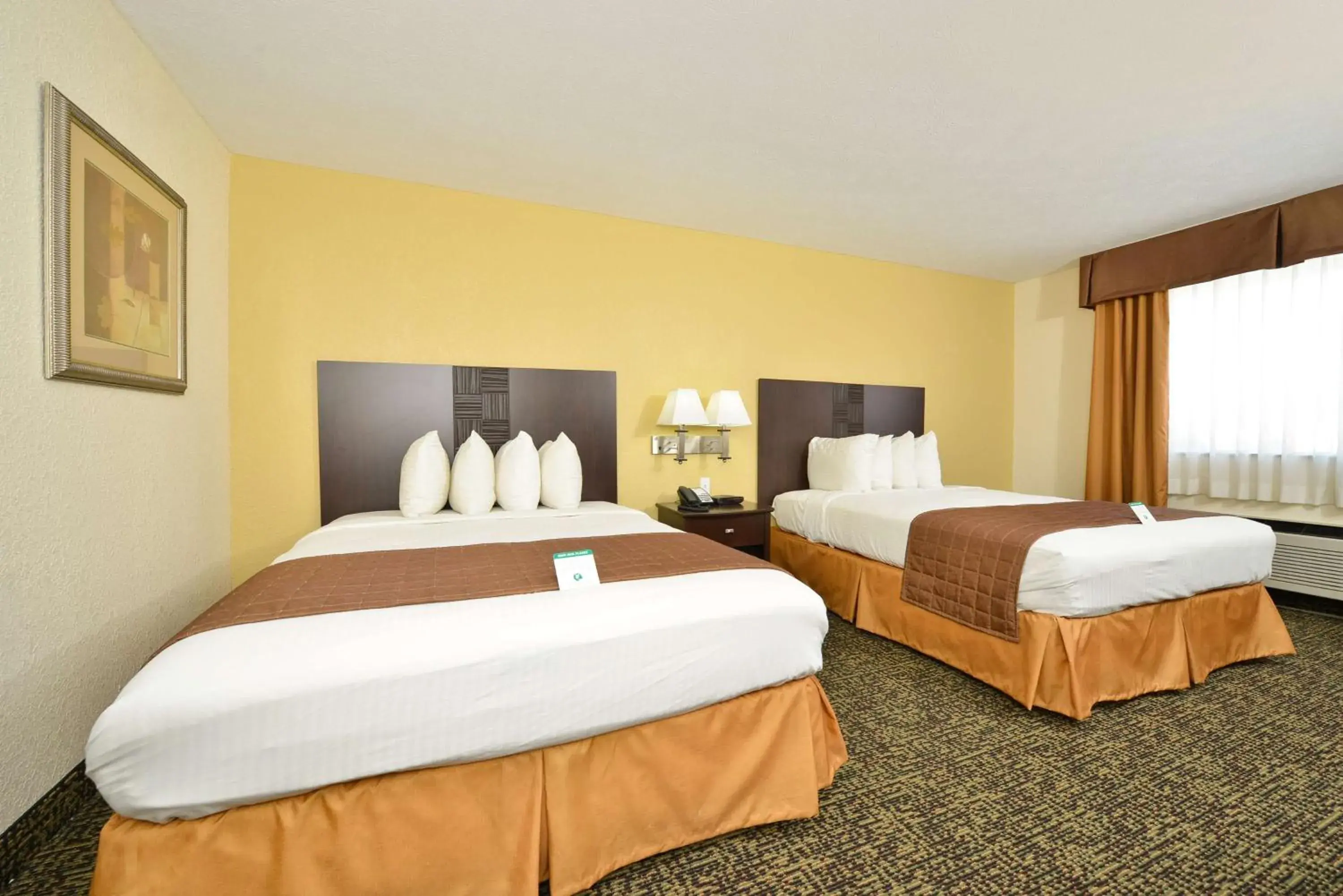 Photo of the whole room, Bed in Best Western Elyria Photo of the whole room, Bed in Best Western Elyria