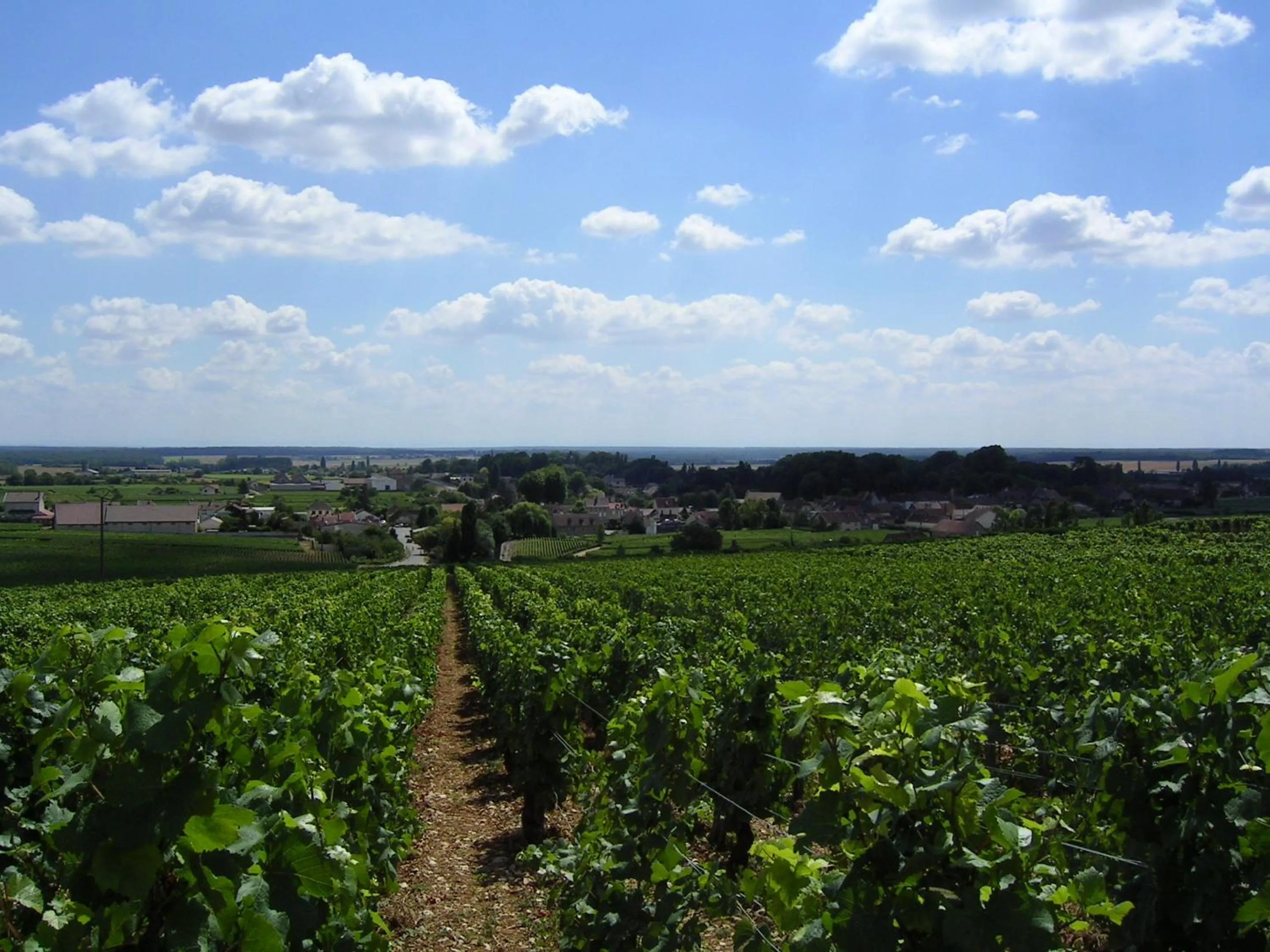 Area and facilities in Hotel l'Orée Des Vignes