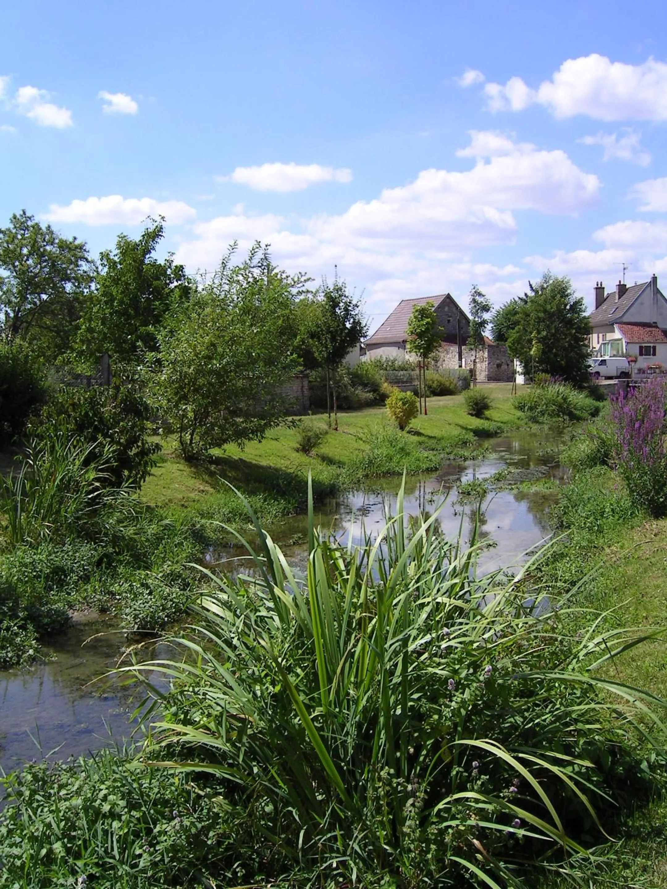 Area and facilities in Hotel l'Orée Des Vignes
