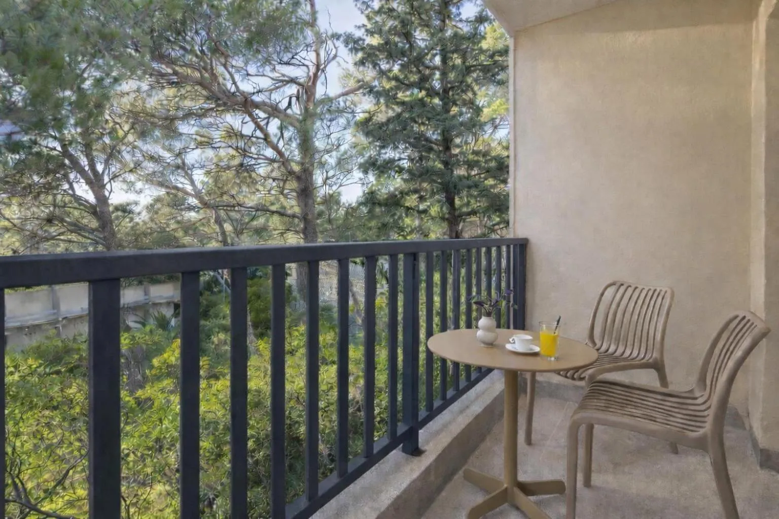 Balcony/Terrace in Hotel Alemaris