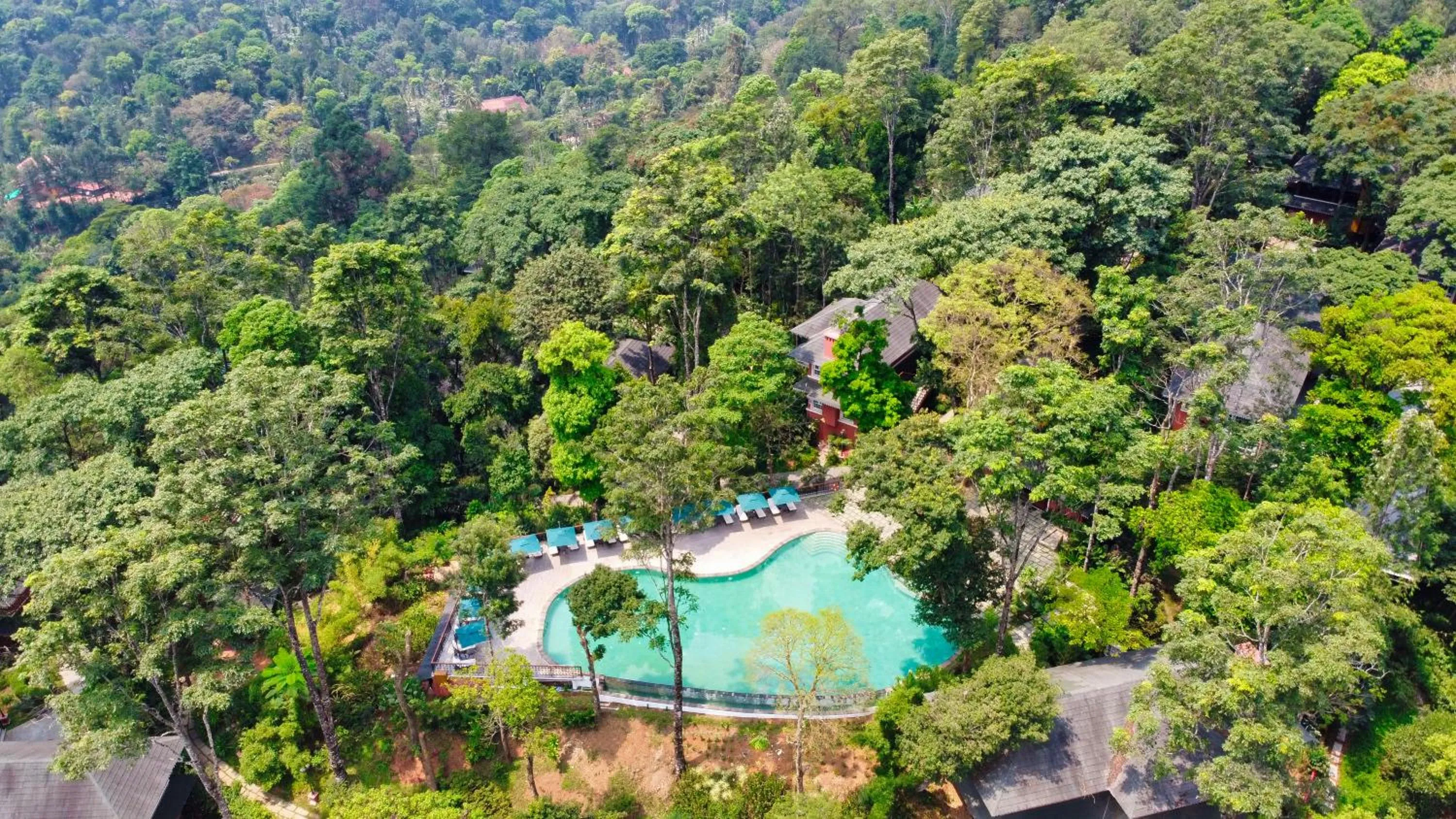 Pool view in Coorg Wilderness Resort & Spa