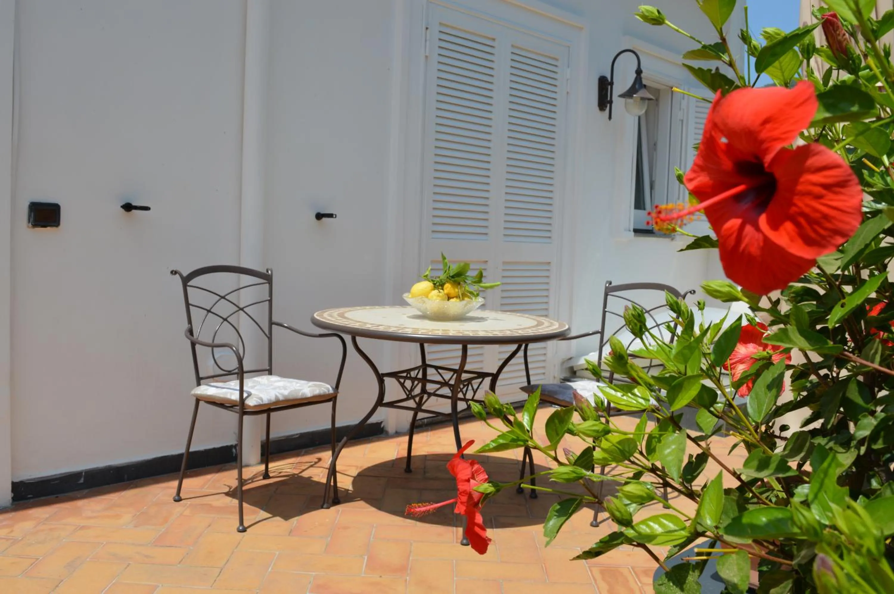 Garden in Baia della Serenità