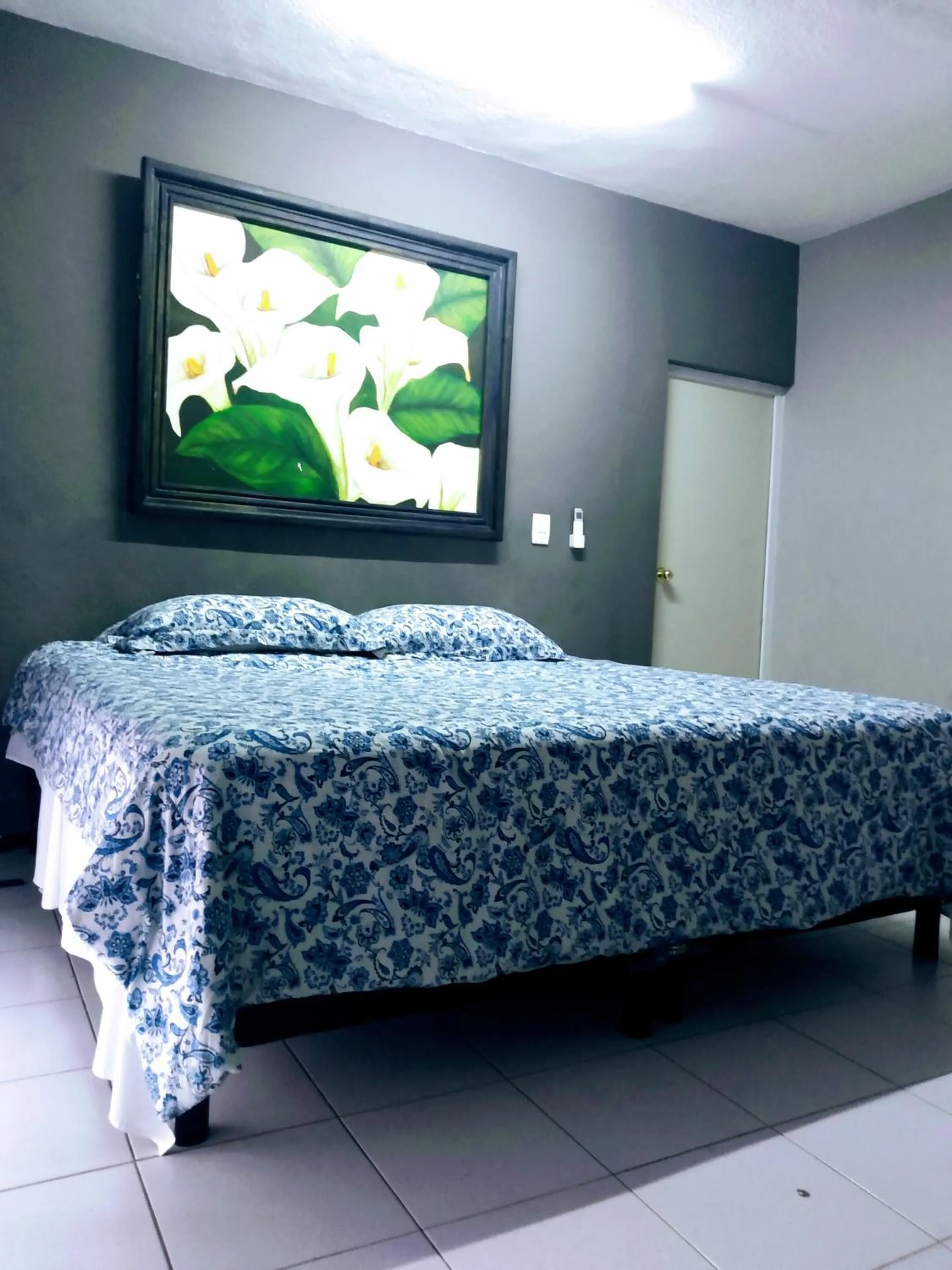 Bed in Casa Ixchel - 700m to Downtown, WiFi, Hot Water, AC