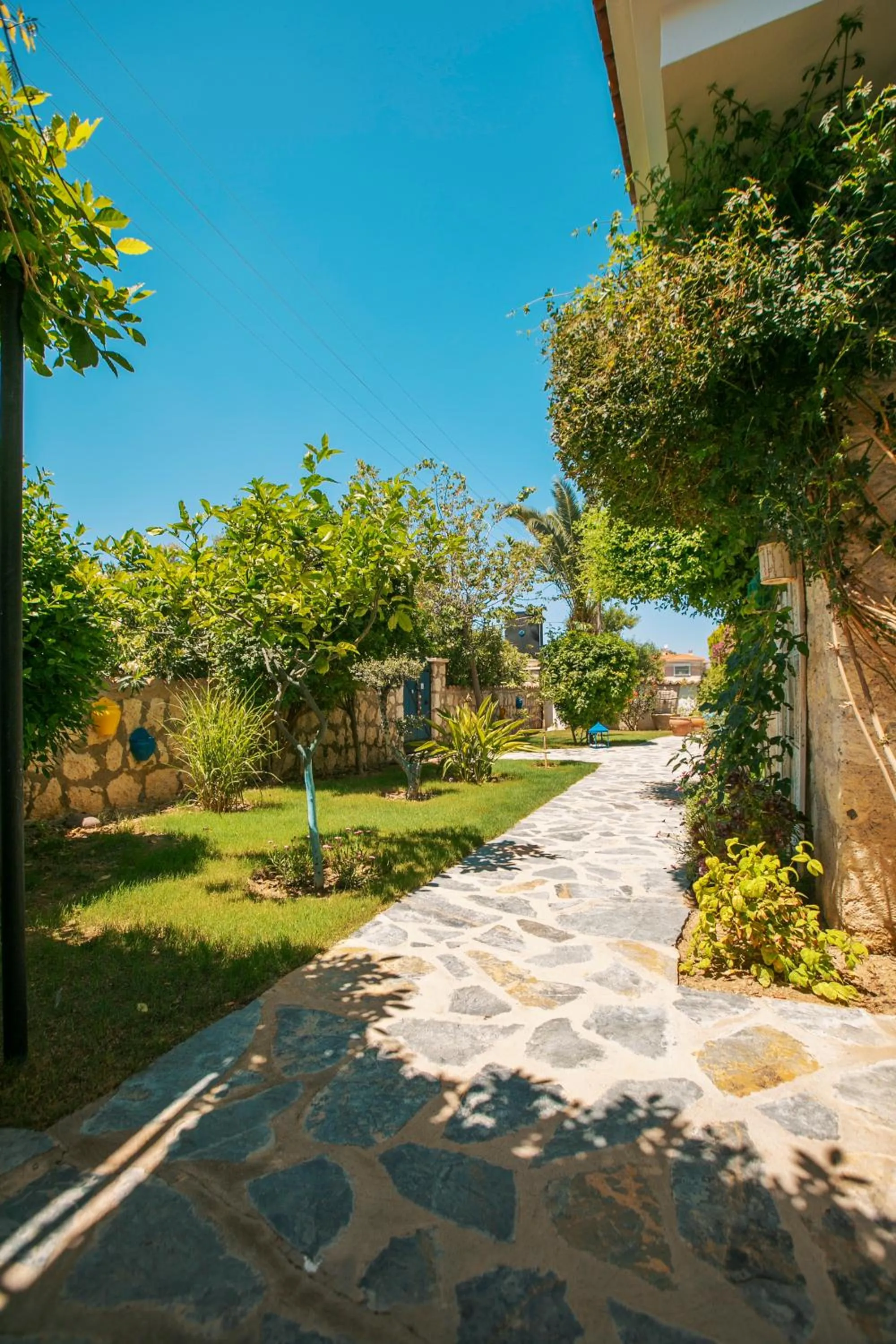 Property building in Alaçatı Albatross Hotel