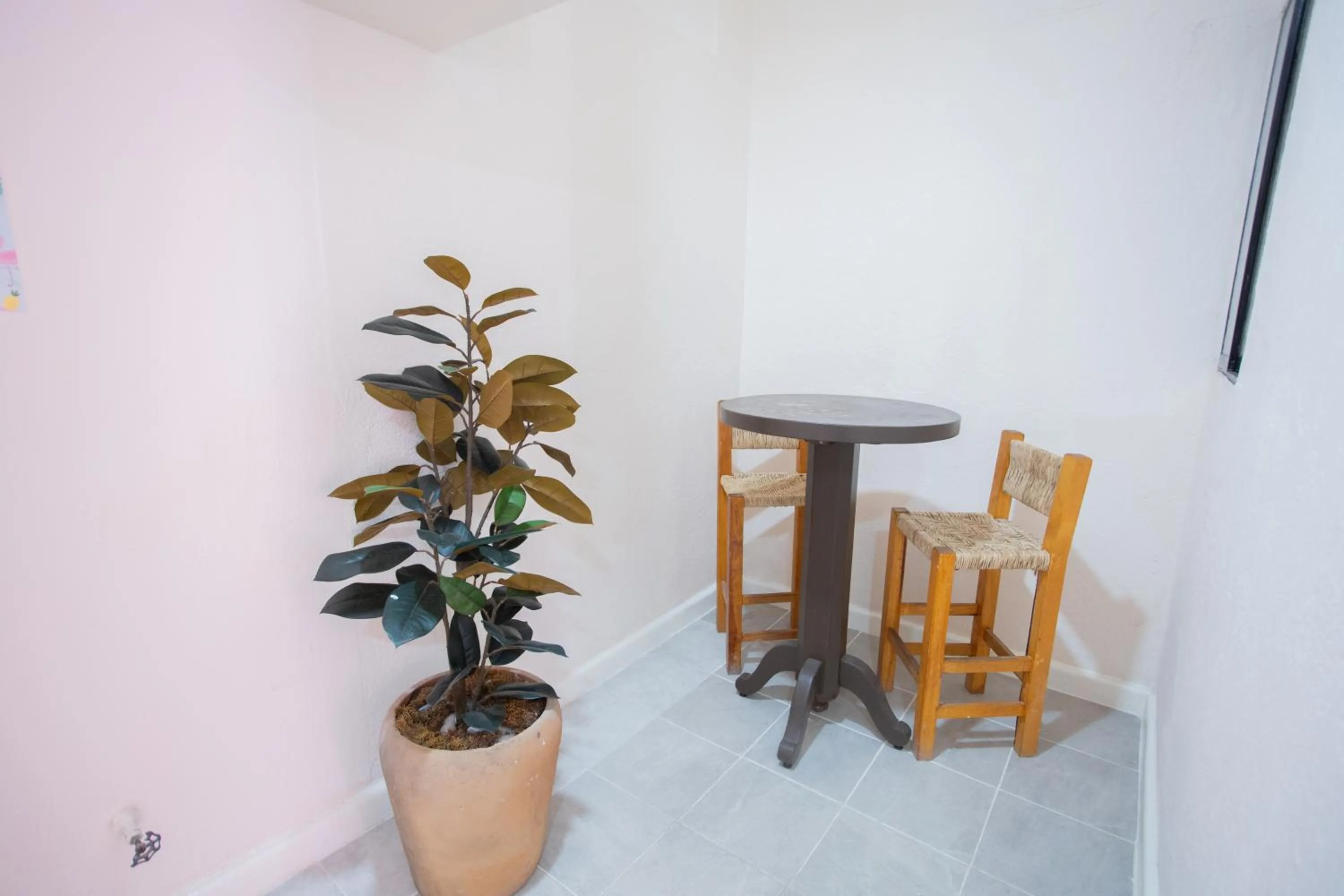 Hotel Tropicus Boutique