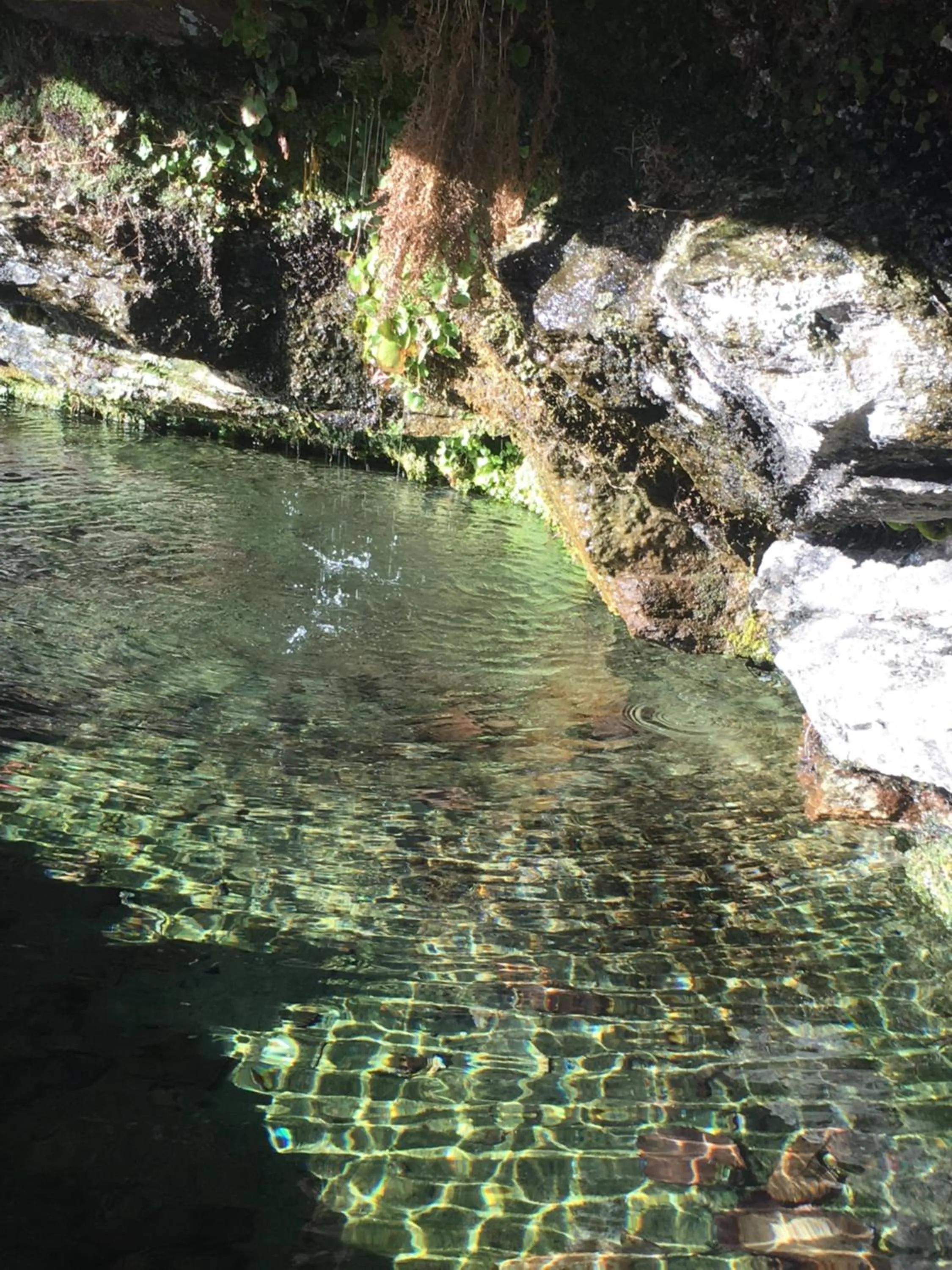 Natural landscape in Ca Montiglio