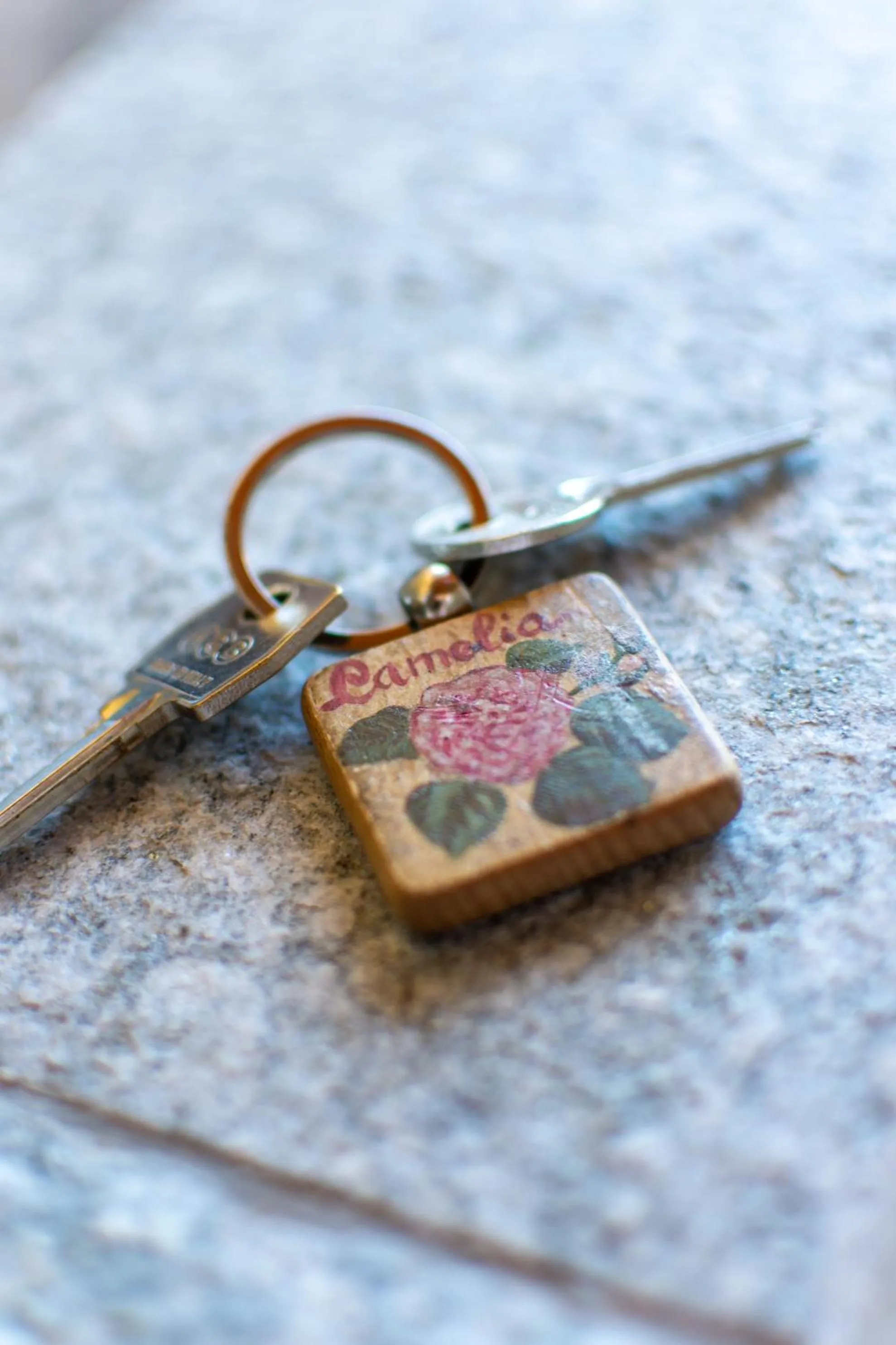 Bedroom in Ca Montiglio
