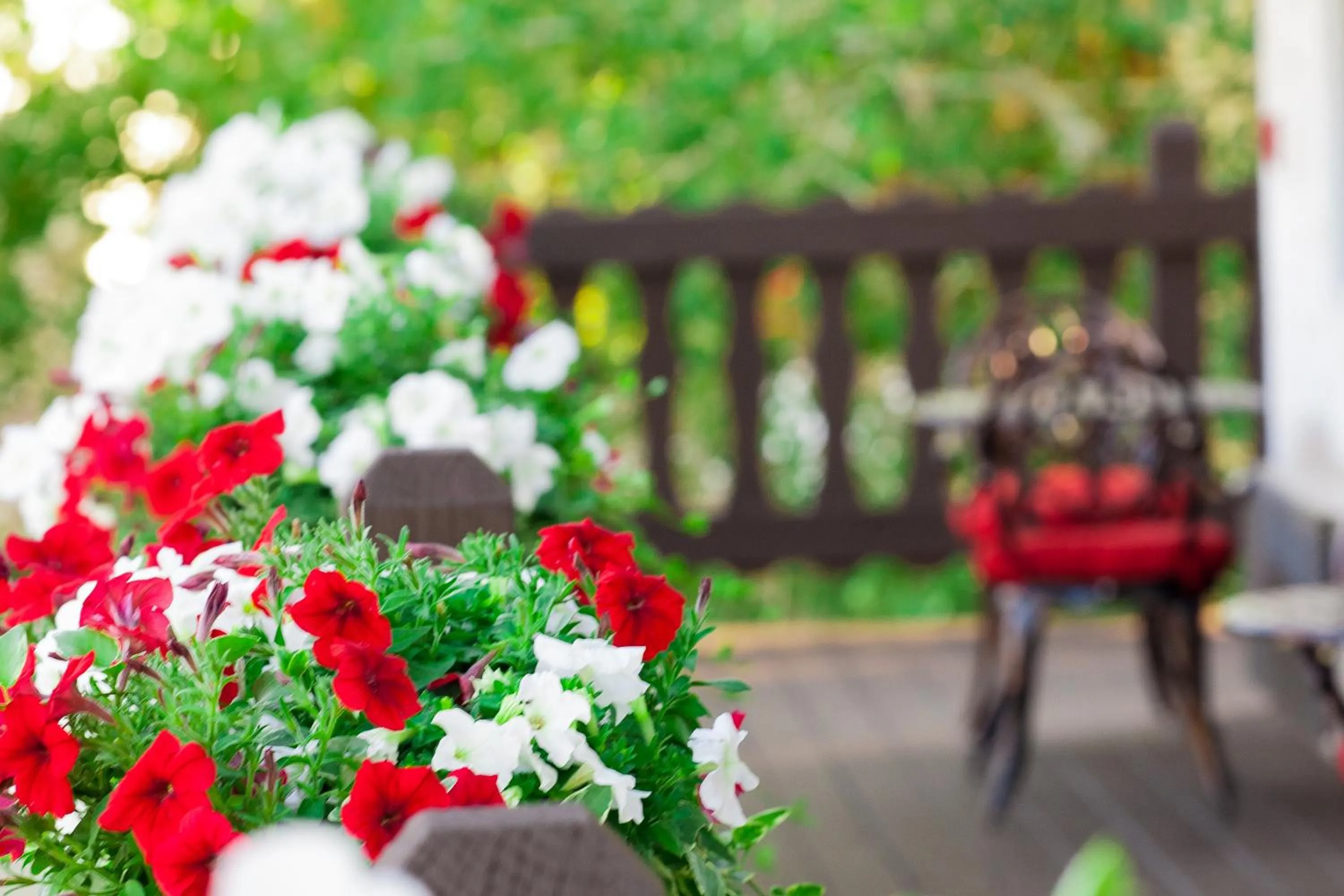 Balcony/Terrace in Bavarian Inn, Black Hills