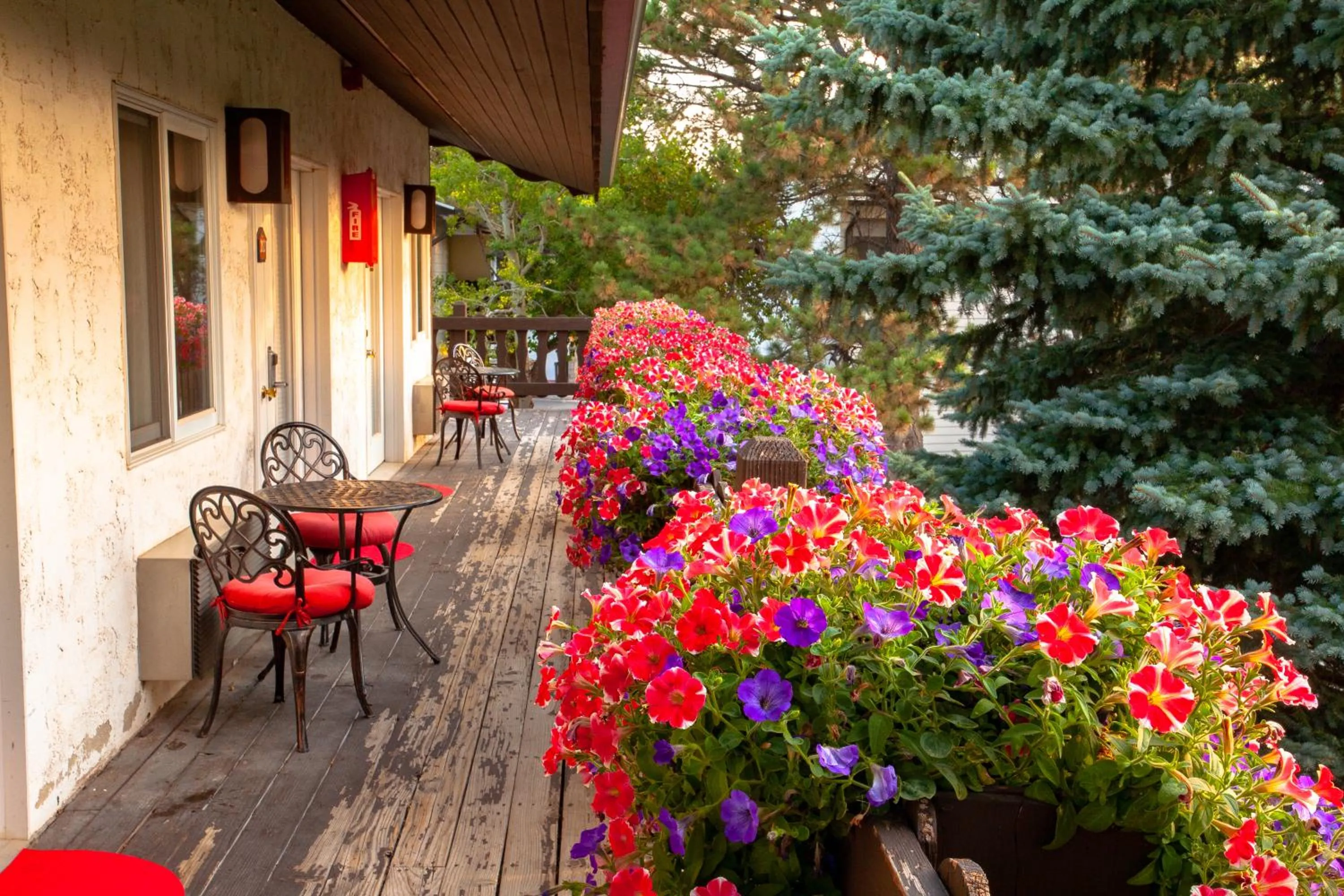 Balcony/Terrace in Bavarian Inn, Black Hills