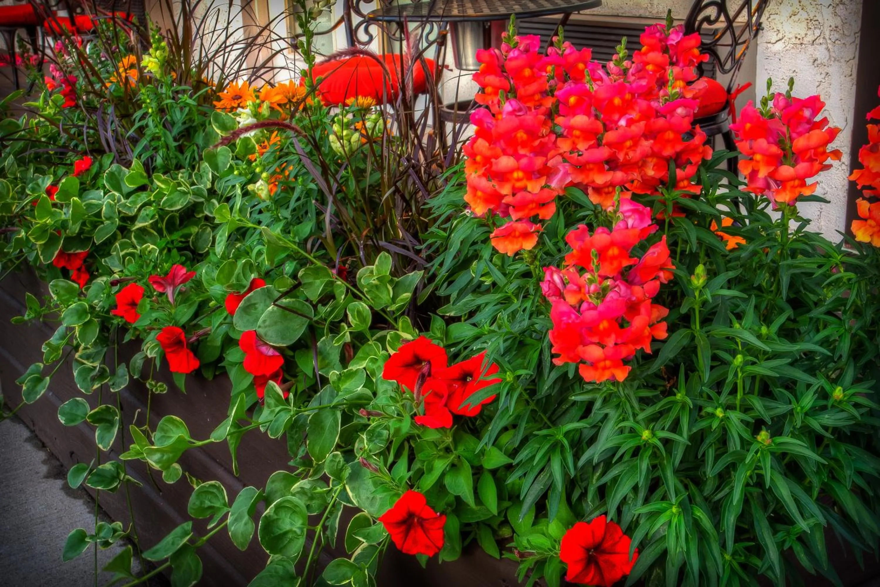 Garden in Bavarian Inn, Black Hills