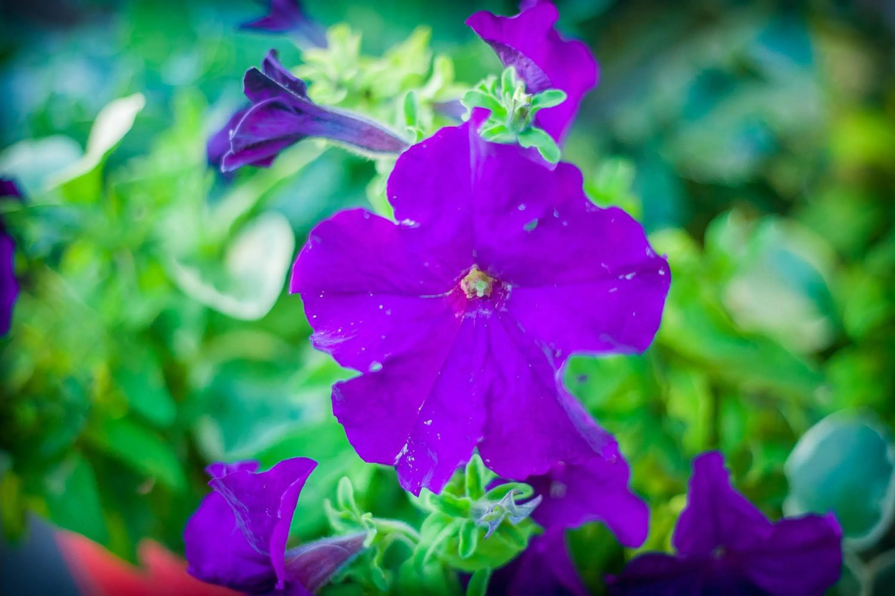 Decorative detail in Bavarian Inn, Black Hills