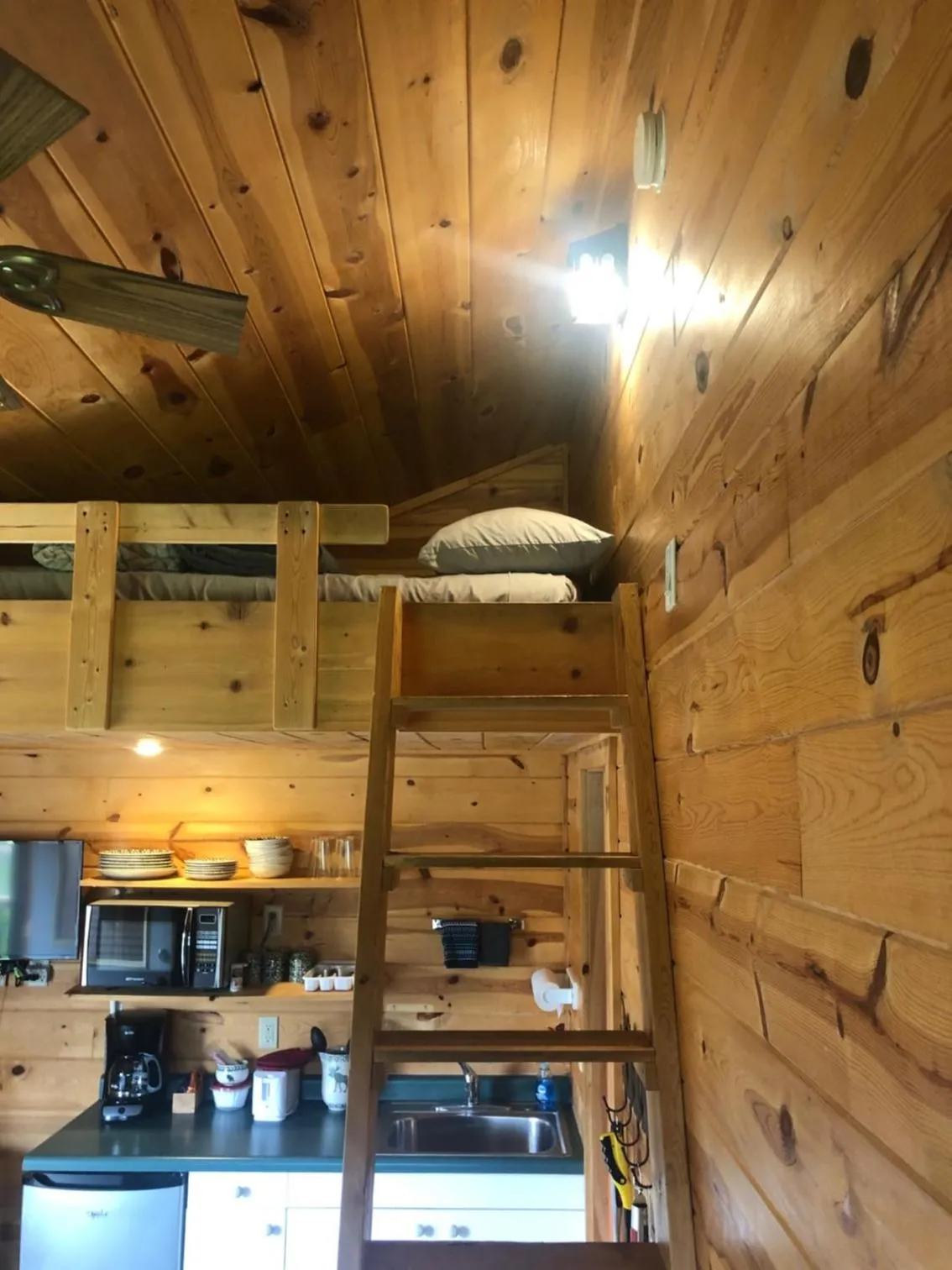 Mountain View Lodge & Cabins