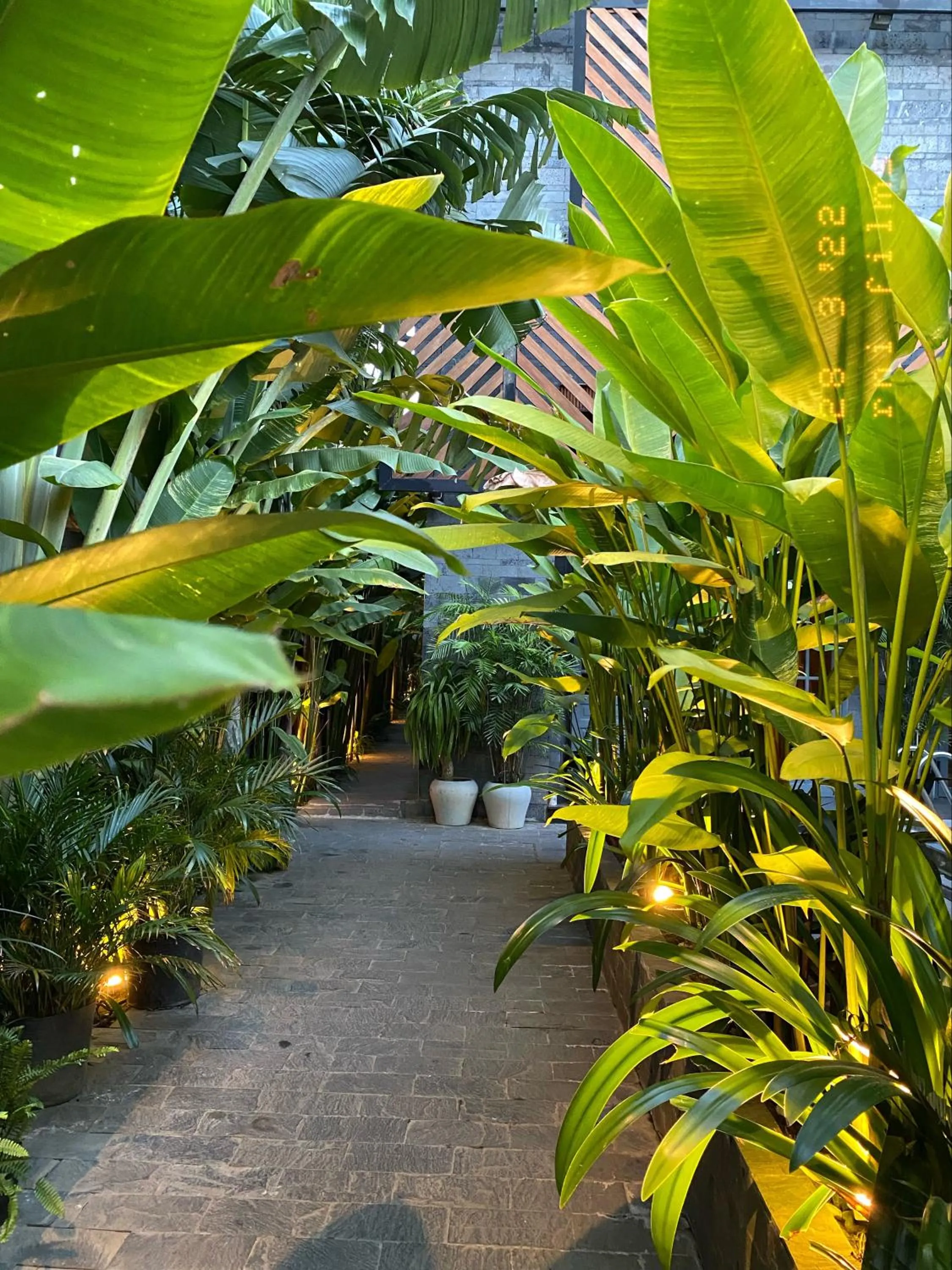 Garden in Tropical Home Villa