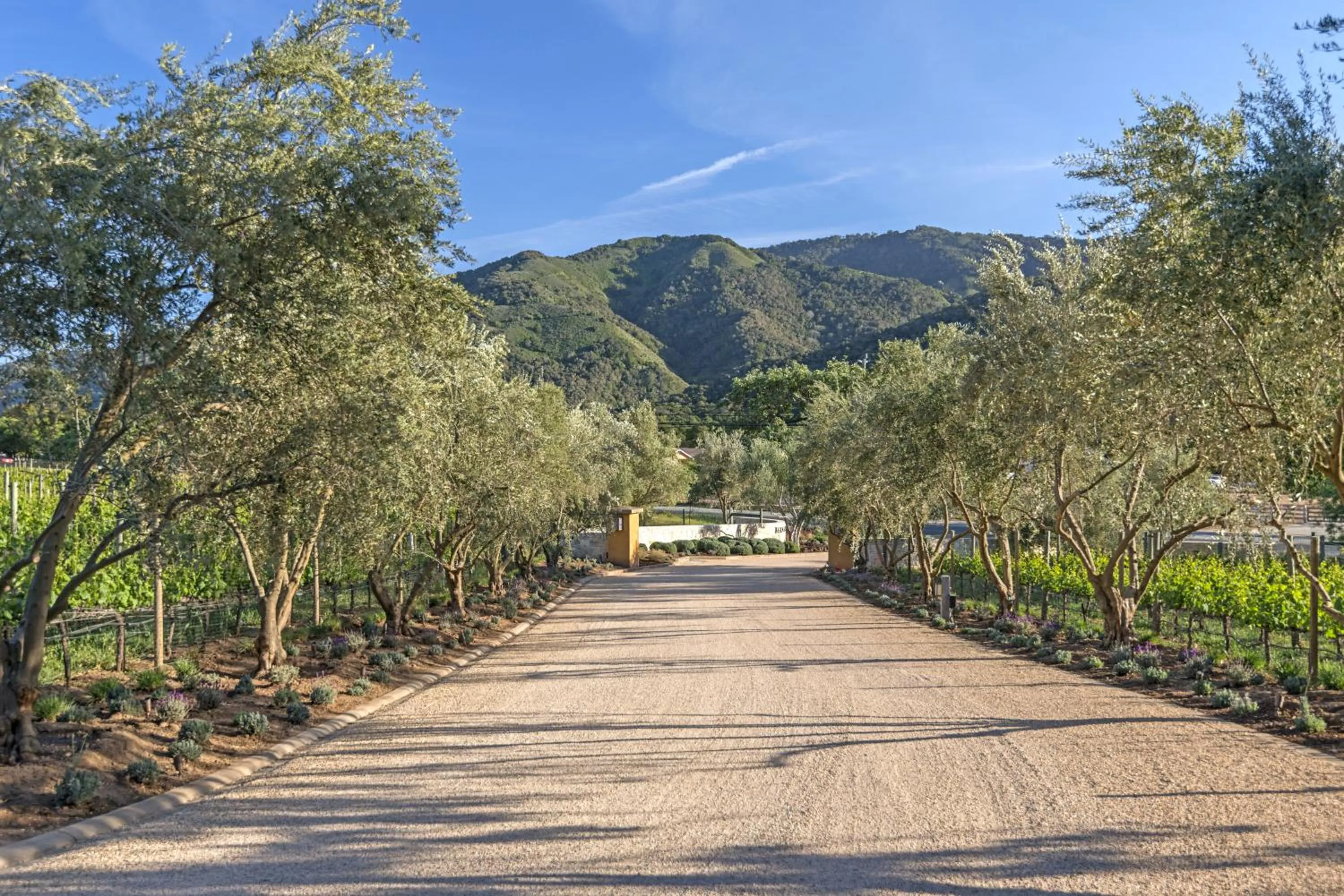 Day in Bernardus Lodge & Spa