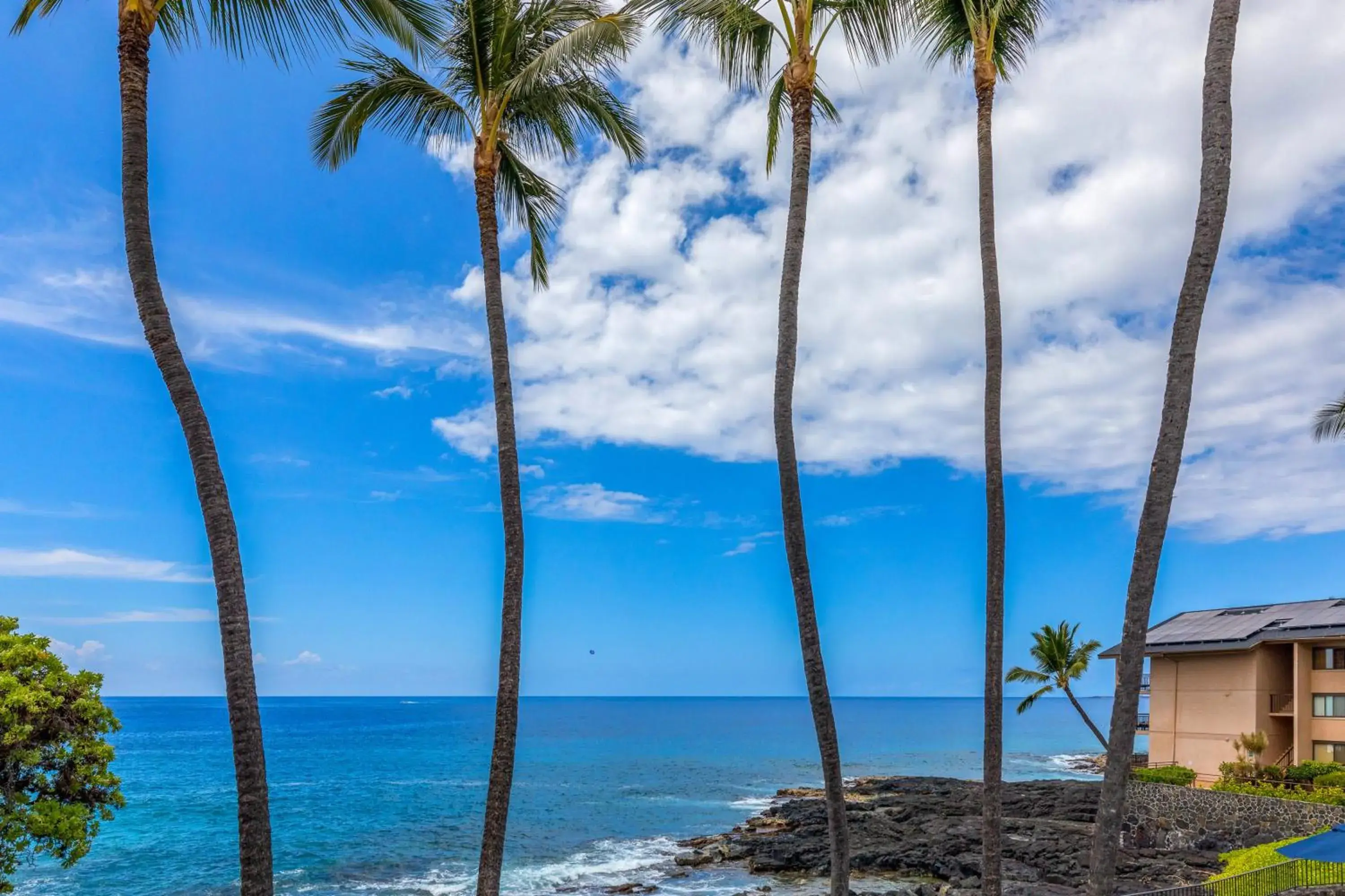 View (from property/room) in Royal Sea Cliff Kona by OUTRIGGER View (from property/room) in Royal Sea Cliff Kona by OUTRIGGER