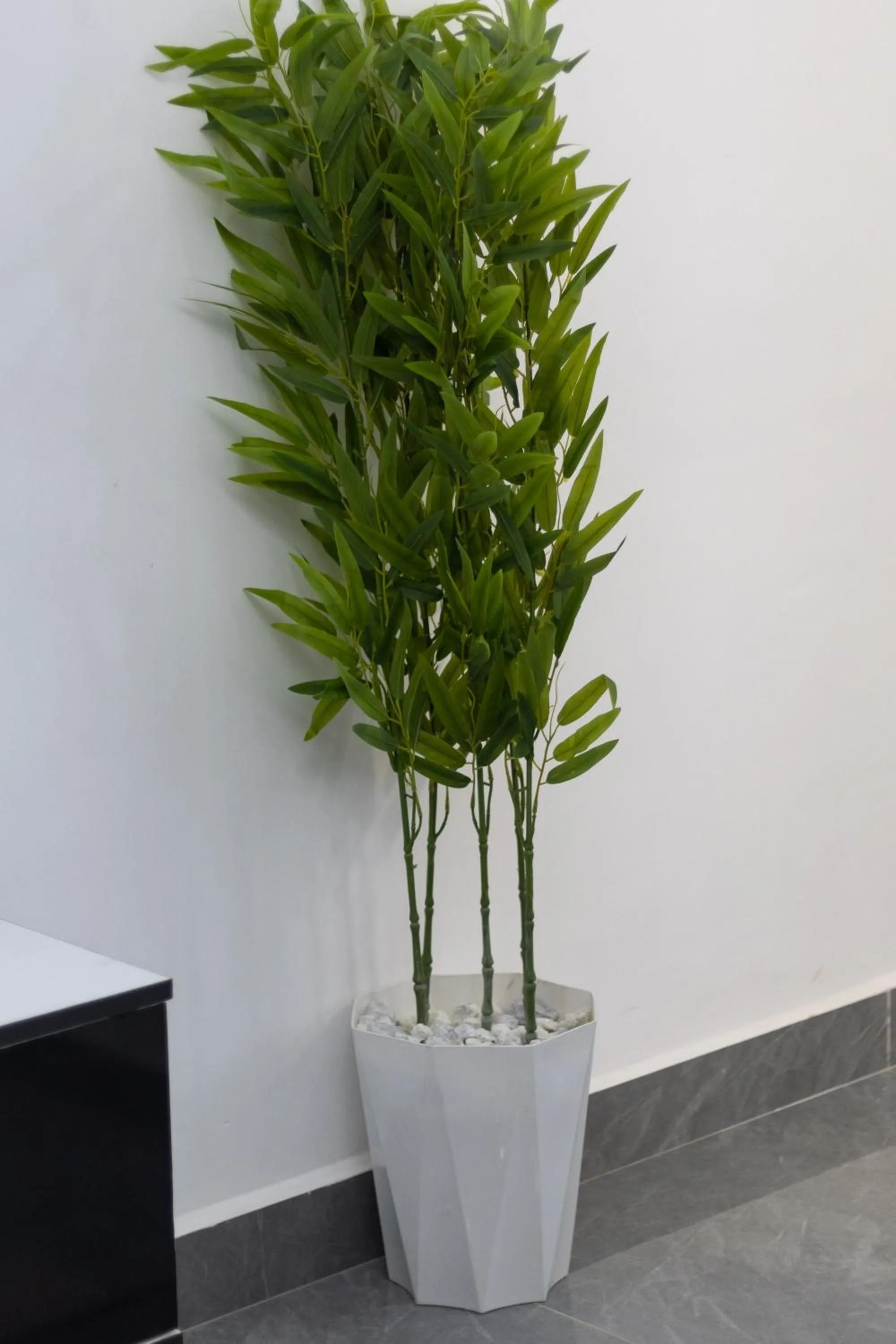 Erica Residences - Riverside