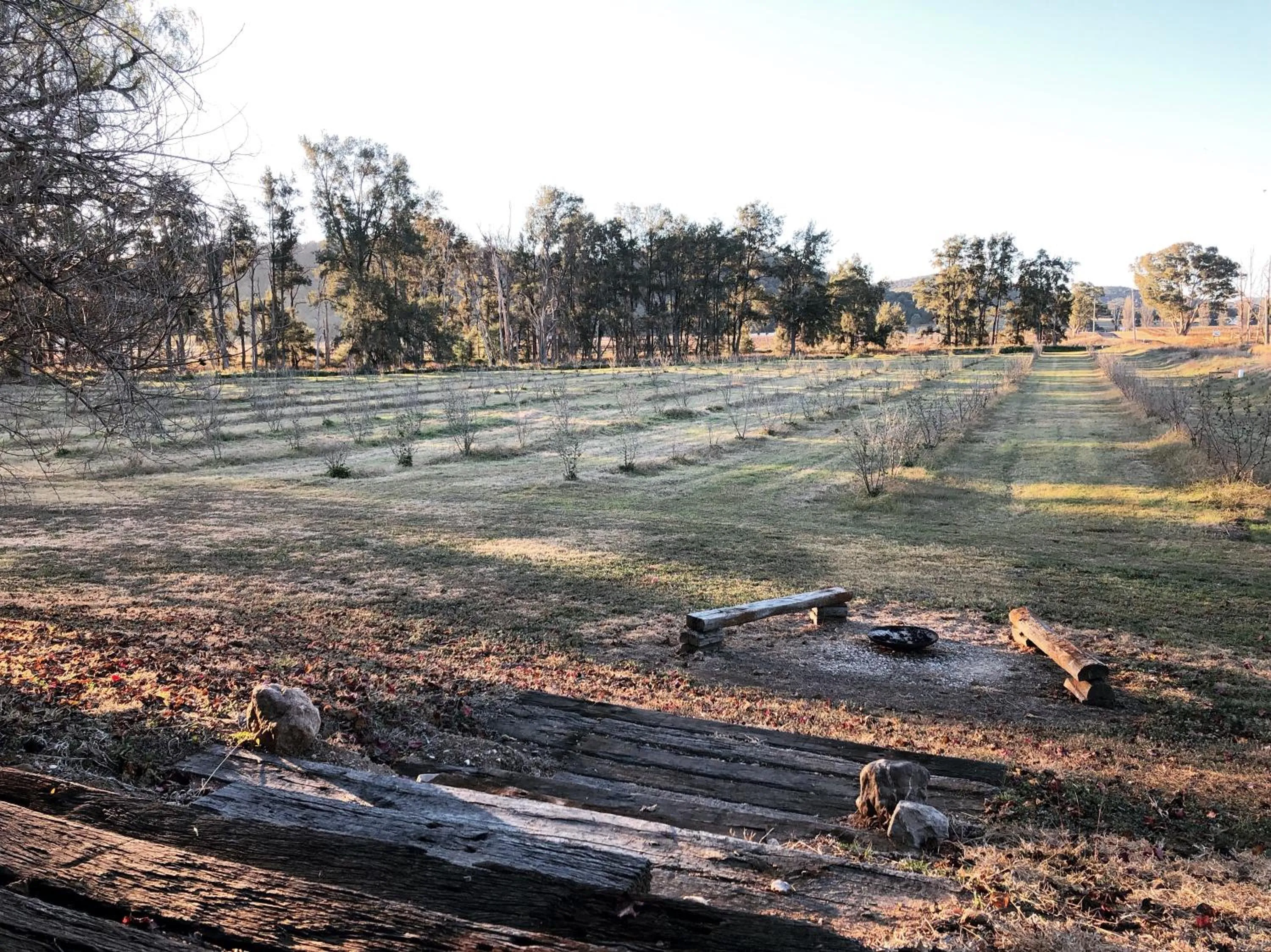 Natural landscape in Pieter van Gent Winery & Vineyard