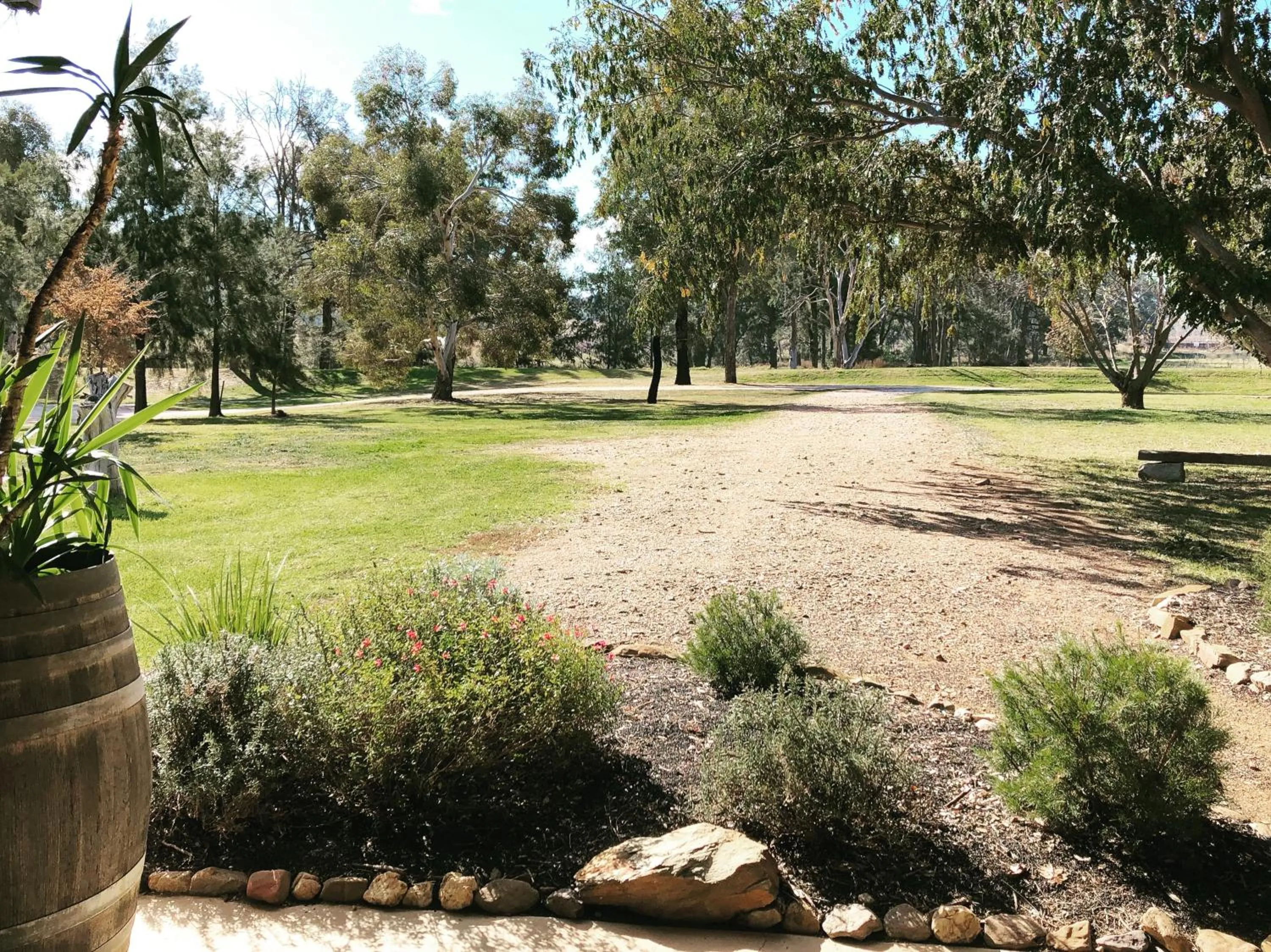Natural landscape in Pieter van Gent Winery & Vineyard