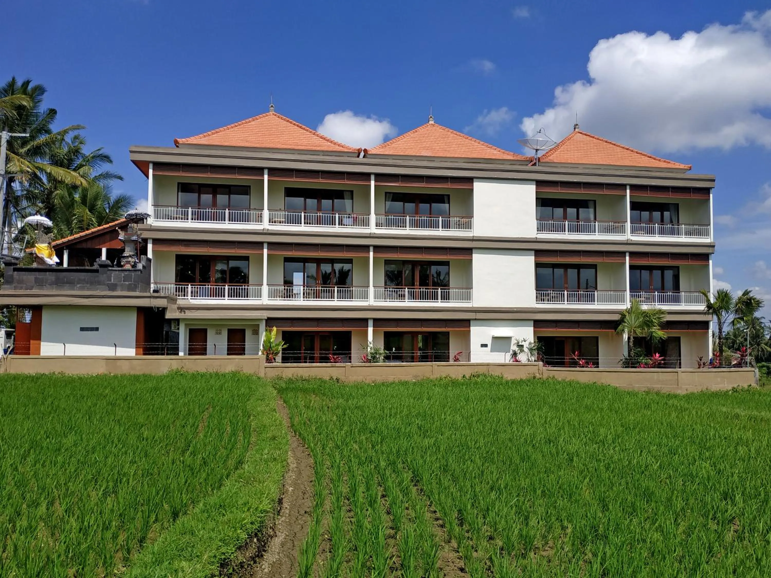 Property building in Paon Desa Ubud