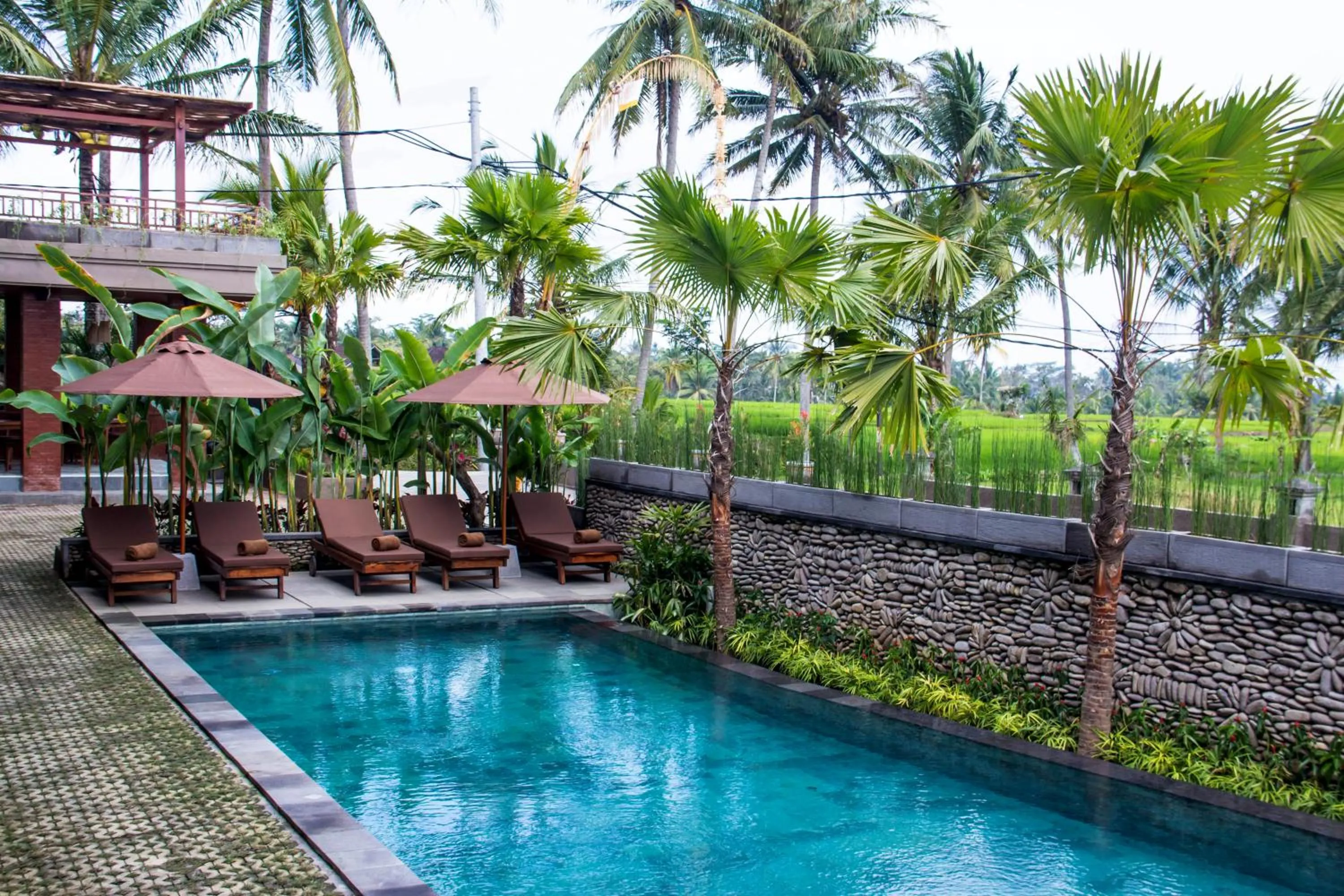 Swimming pool in Paon Desa Ubud
