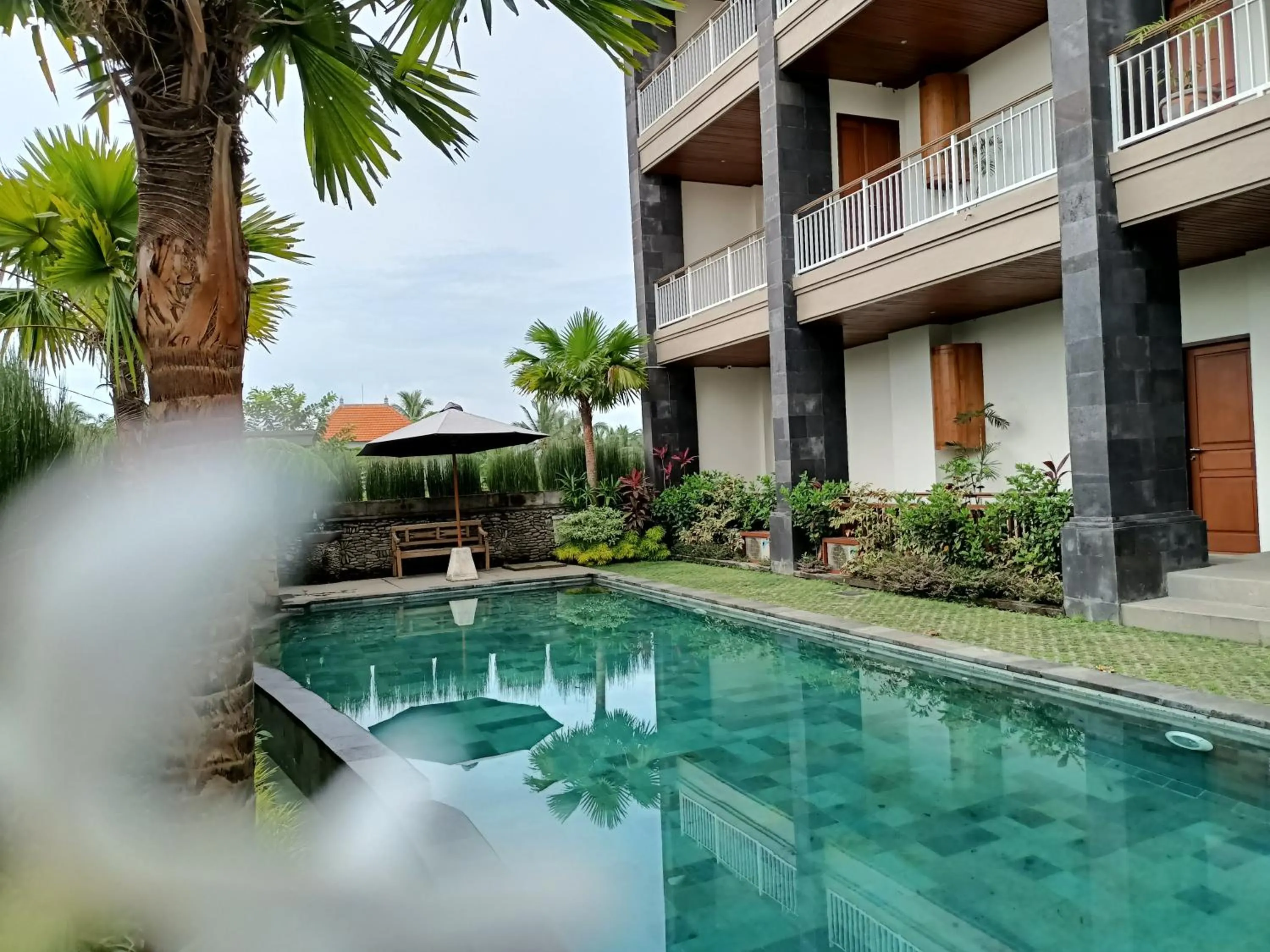 Swimming pool in Paon Desa Ubud
