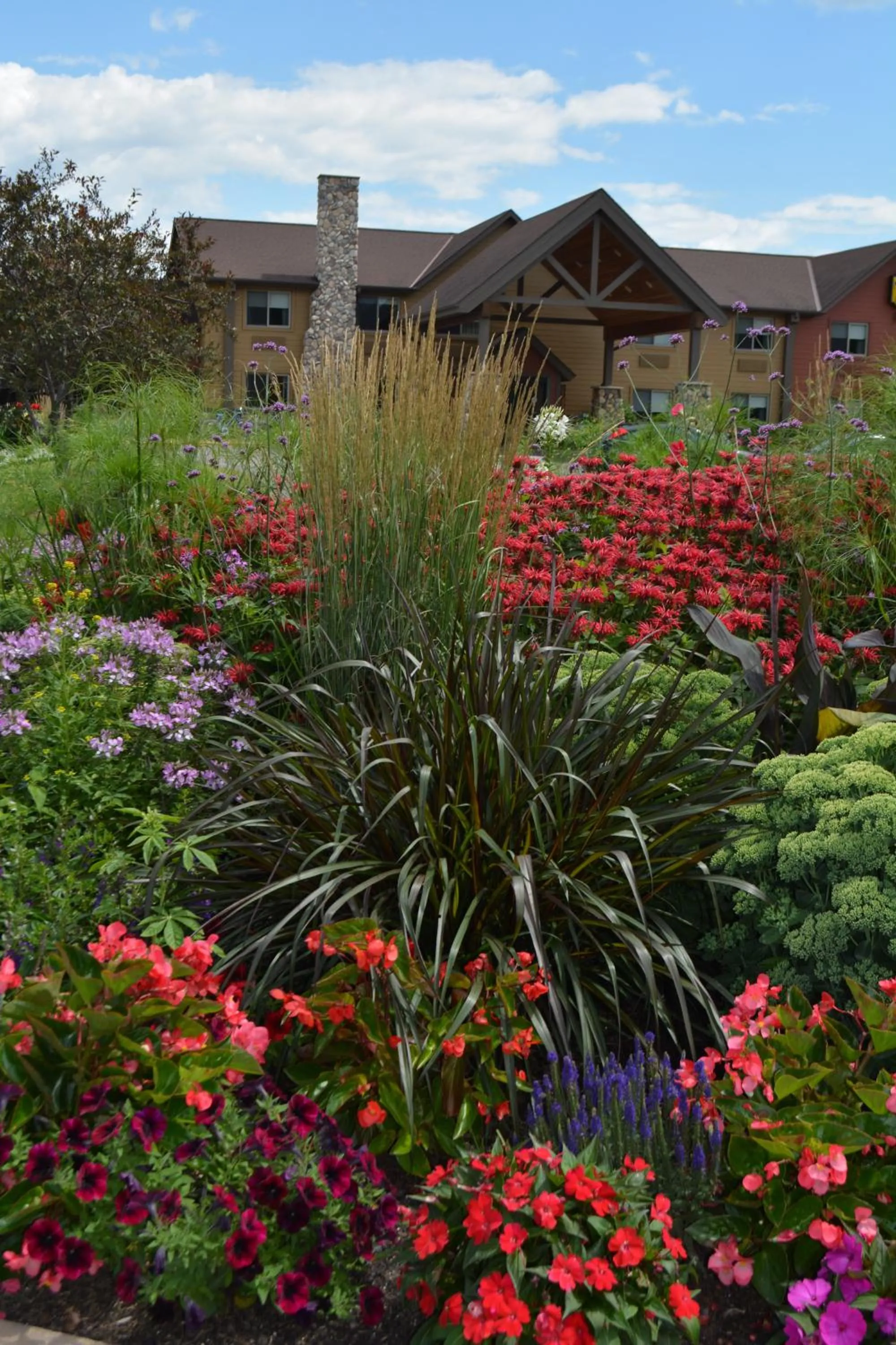 Garden in I M Hotel by Timberlake