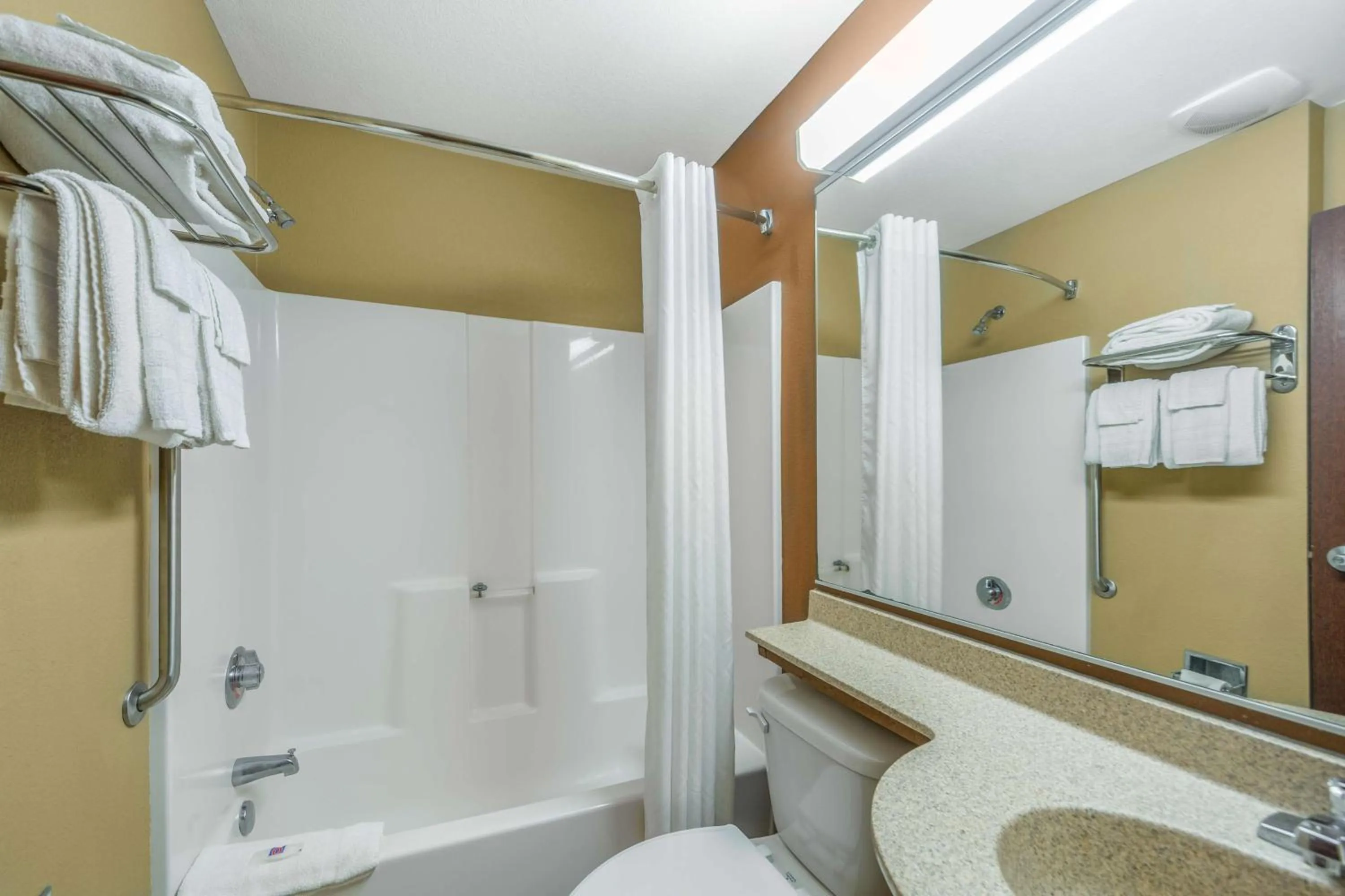 Bathroom in Microtel Inn & Suites by Wyndham Breaux Bridge