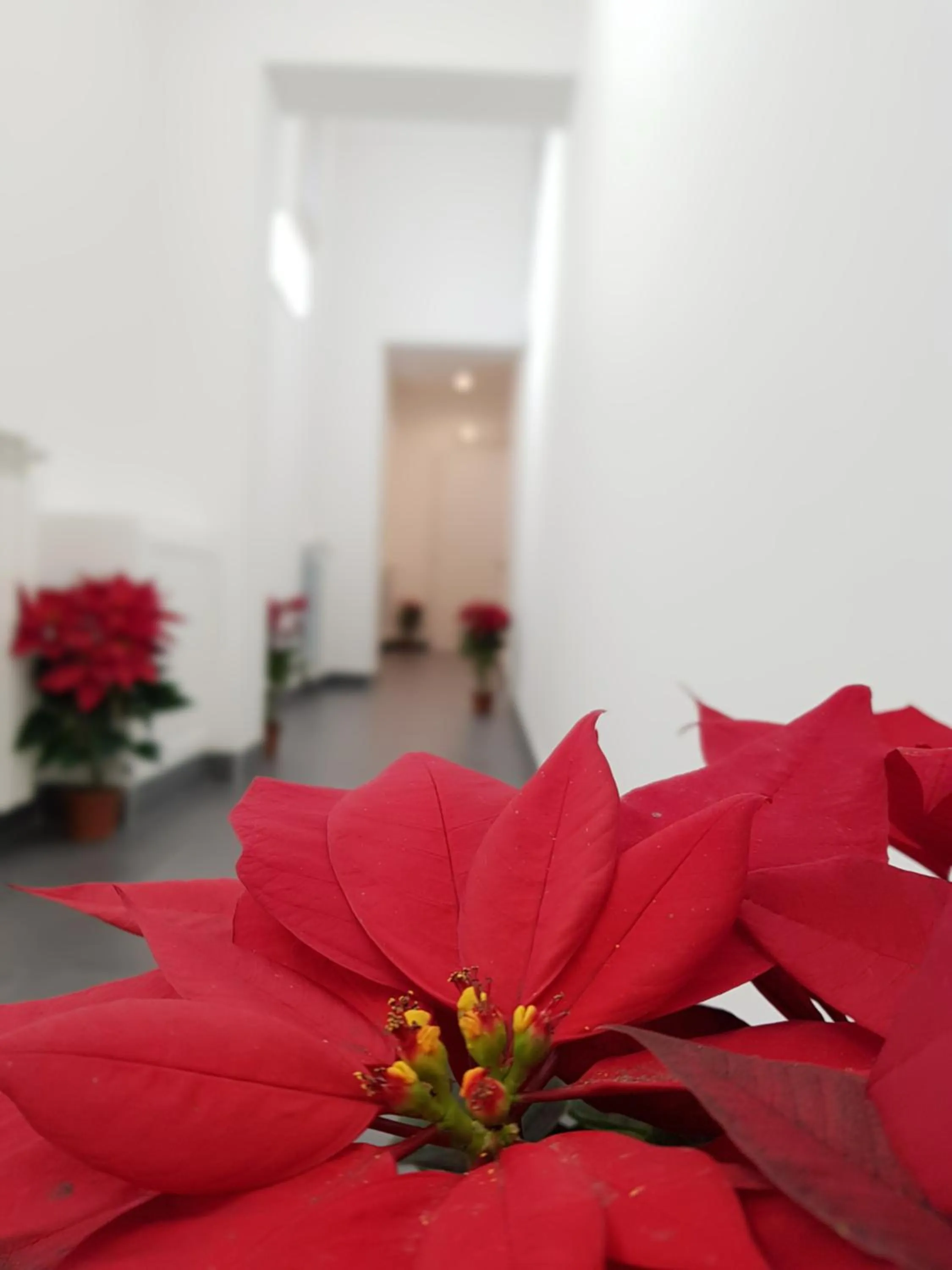 Other in Pupi 93 Rooms