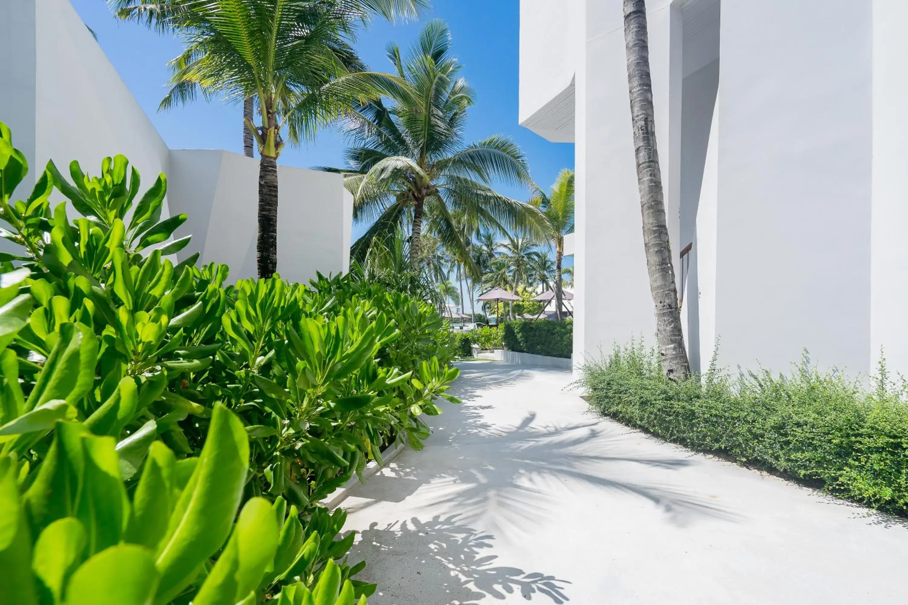 Facade/entrance in La Vida Samui Facade/entrance in La Vida Samui