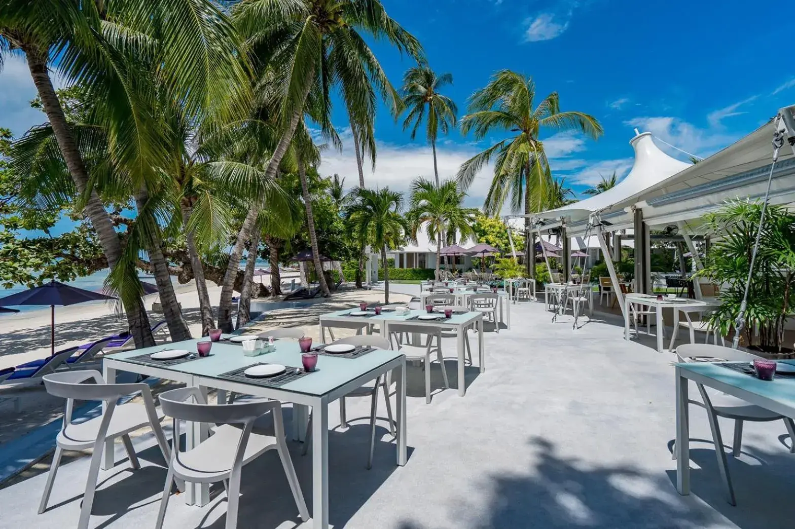 Restaurant/places to eat in La Vida Samui Restaurant/places to eat in La Vida Samui