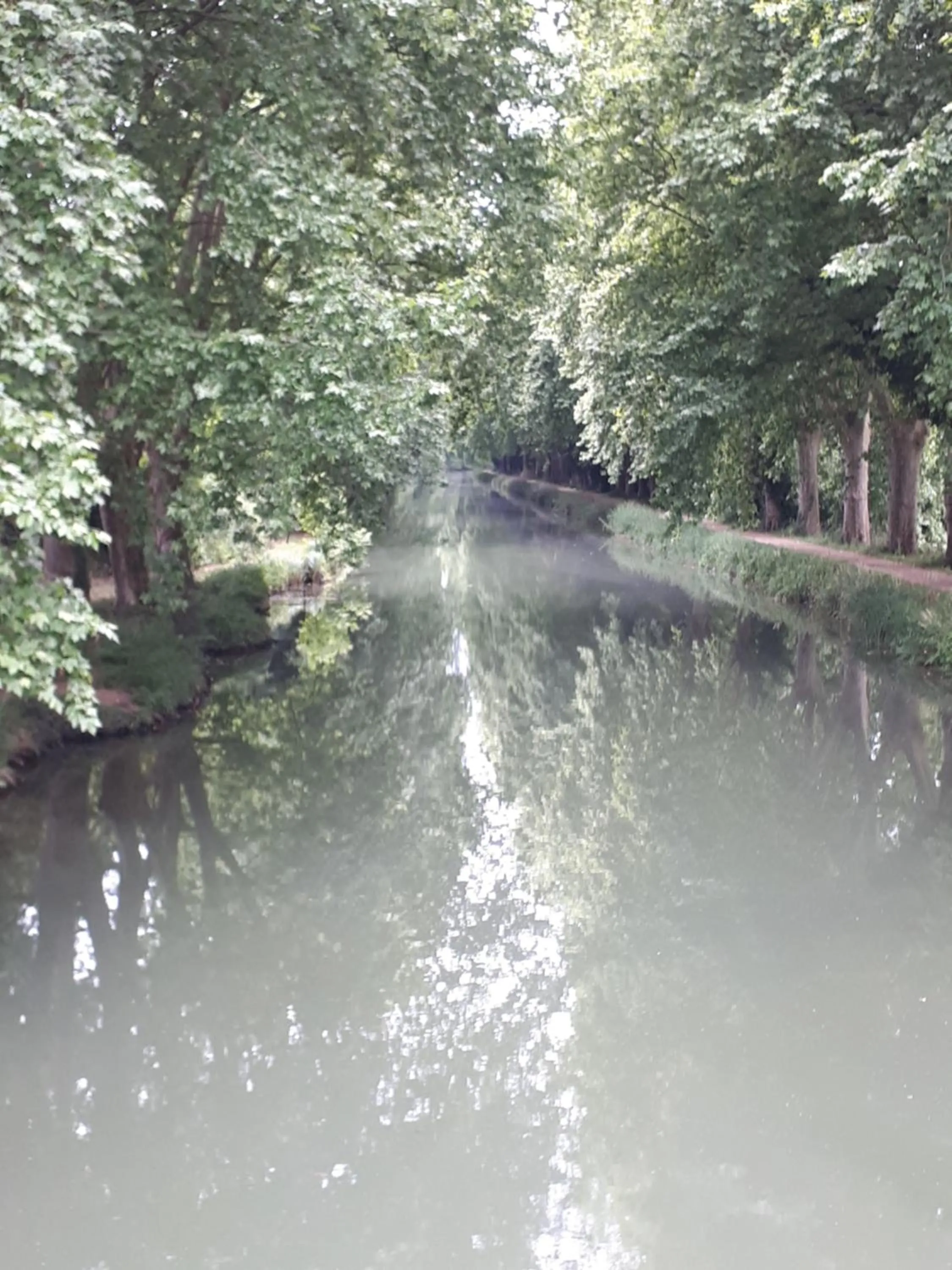 Natural landscape in La Chênaie