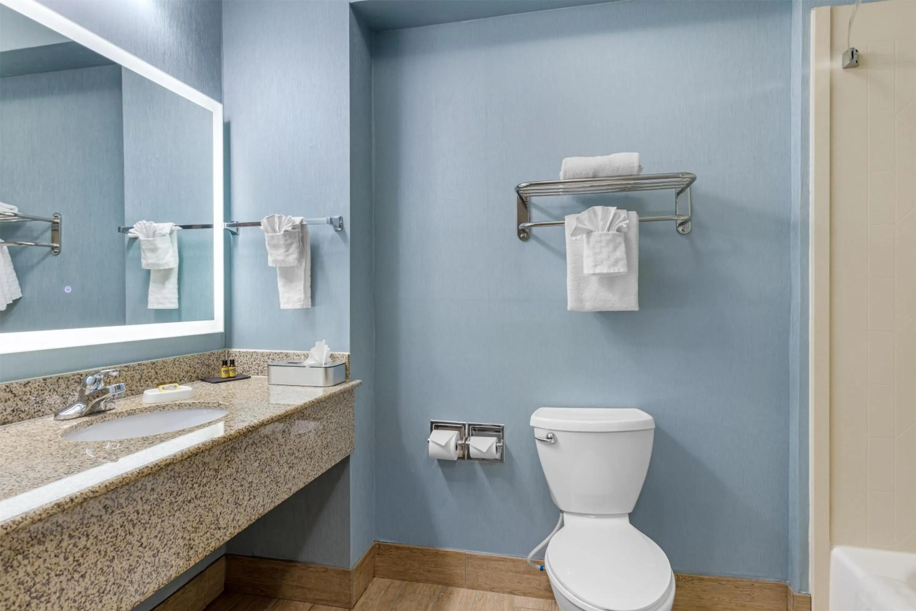 Bathroom in Best Western Plus Wasco Inn & Suites