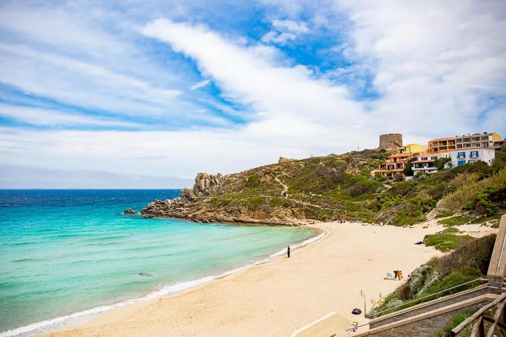 Il giardino degli ulivi