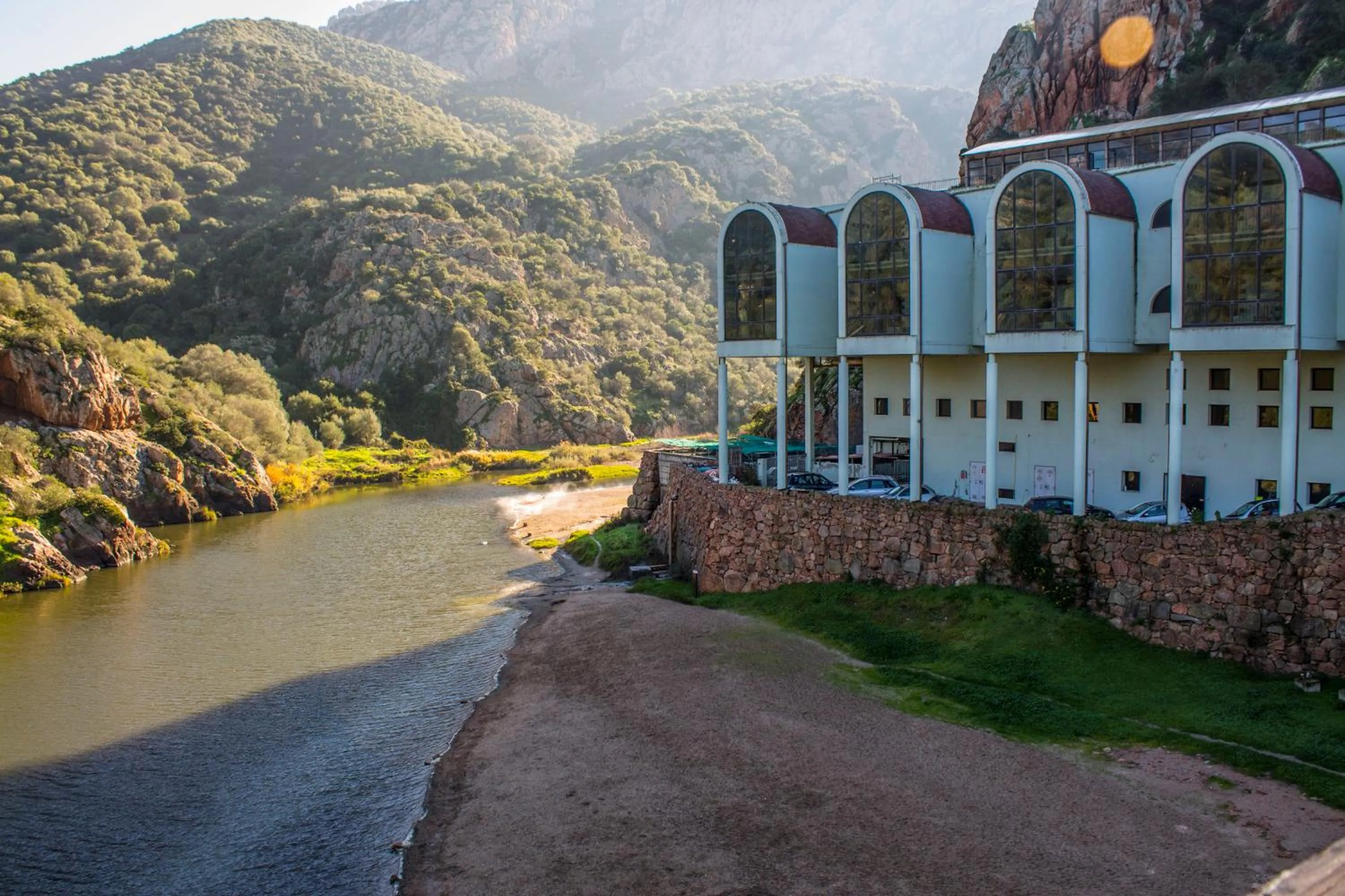 Il giardino degli ulivi