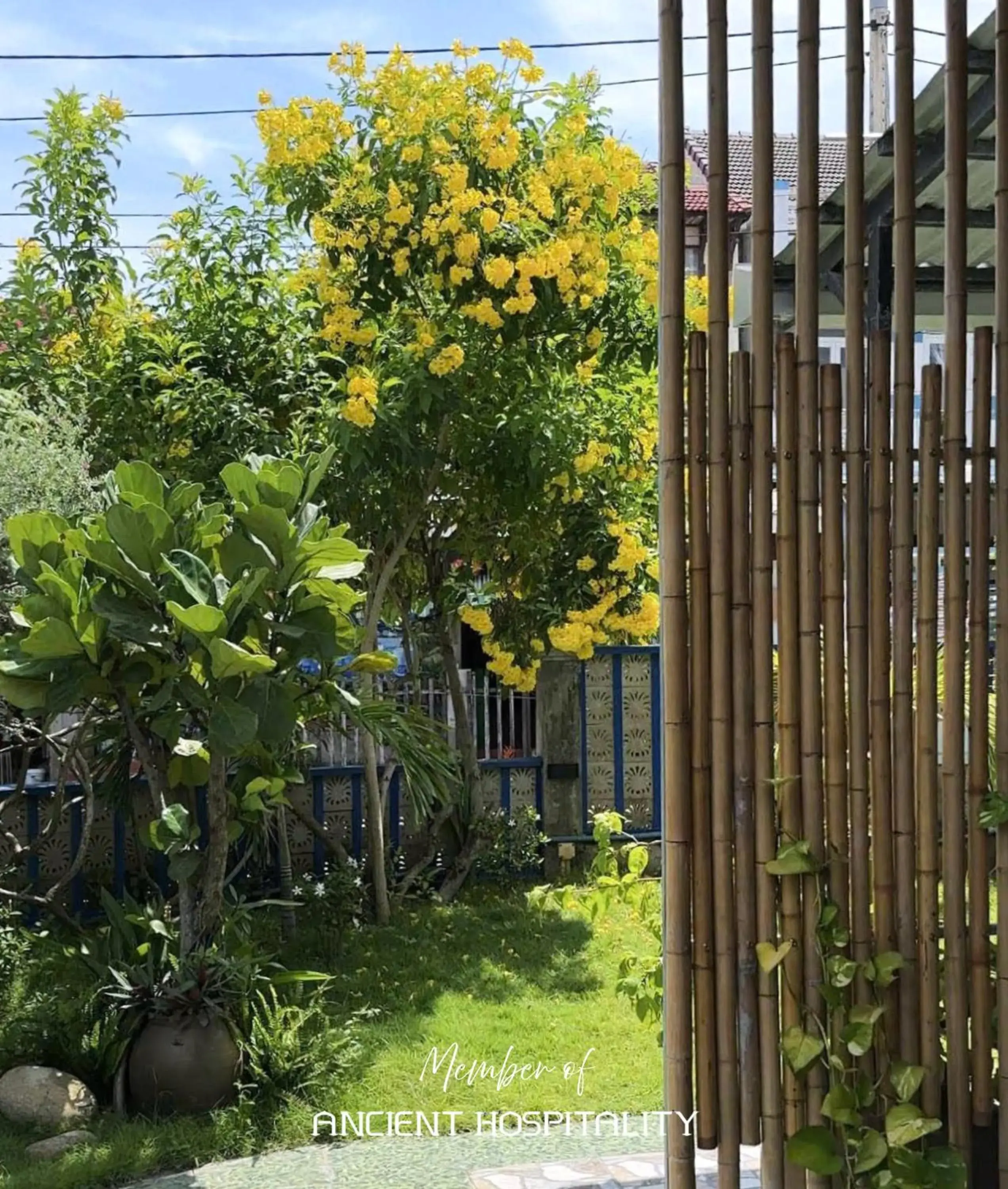 Property building in Ancient Beach Boutique & Spa - Beachfront Hotel Property building in Ancient Beach Boutique & Spa - Beachfront Hotel