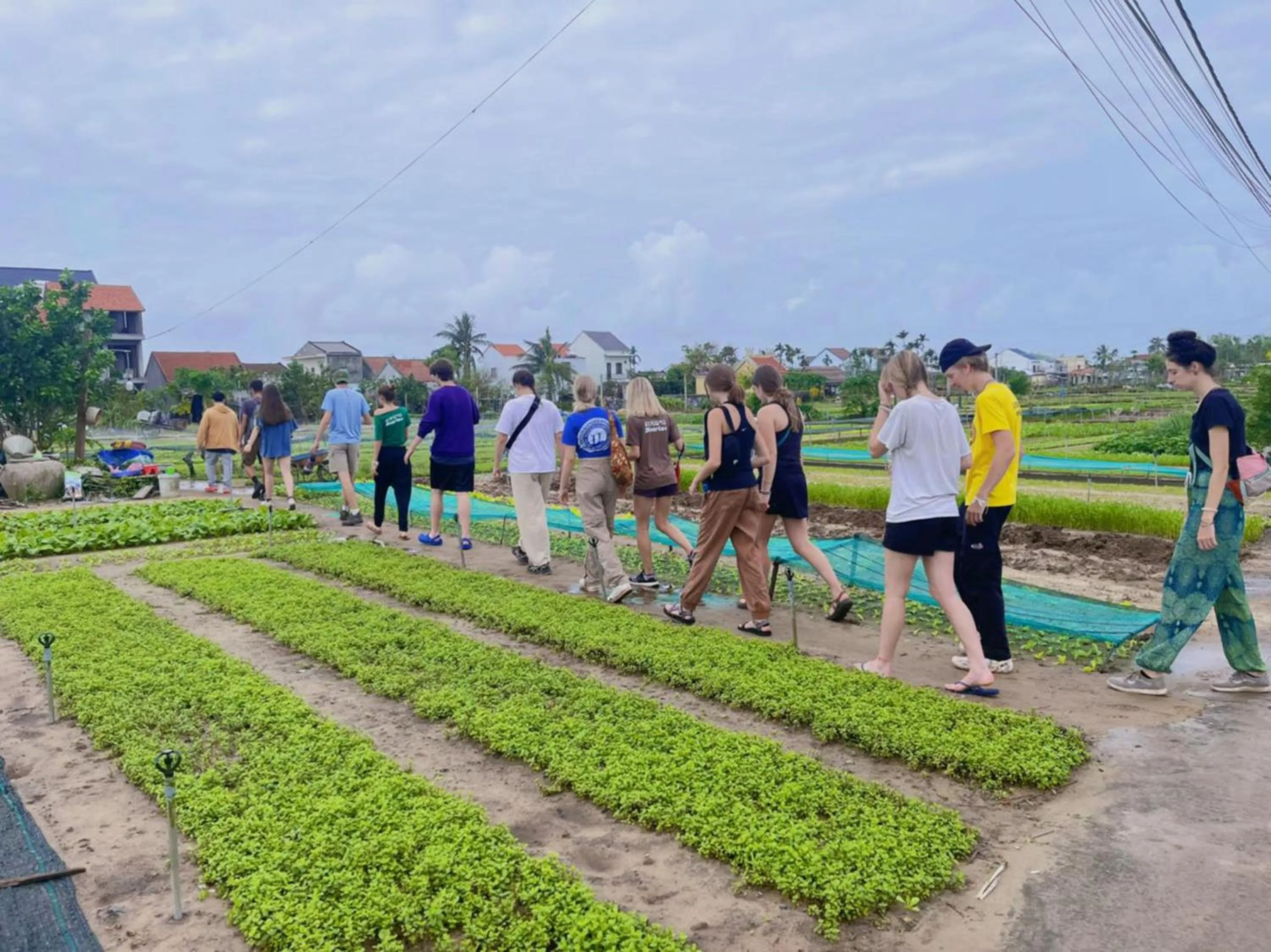 Neighbourhood in Silk and Sea Hotel