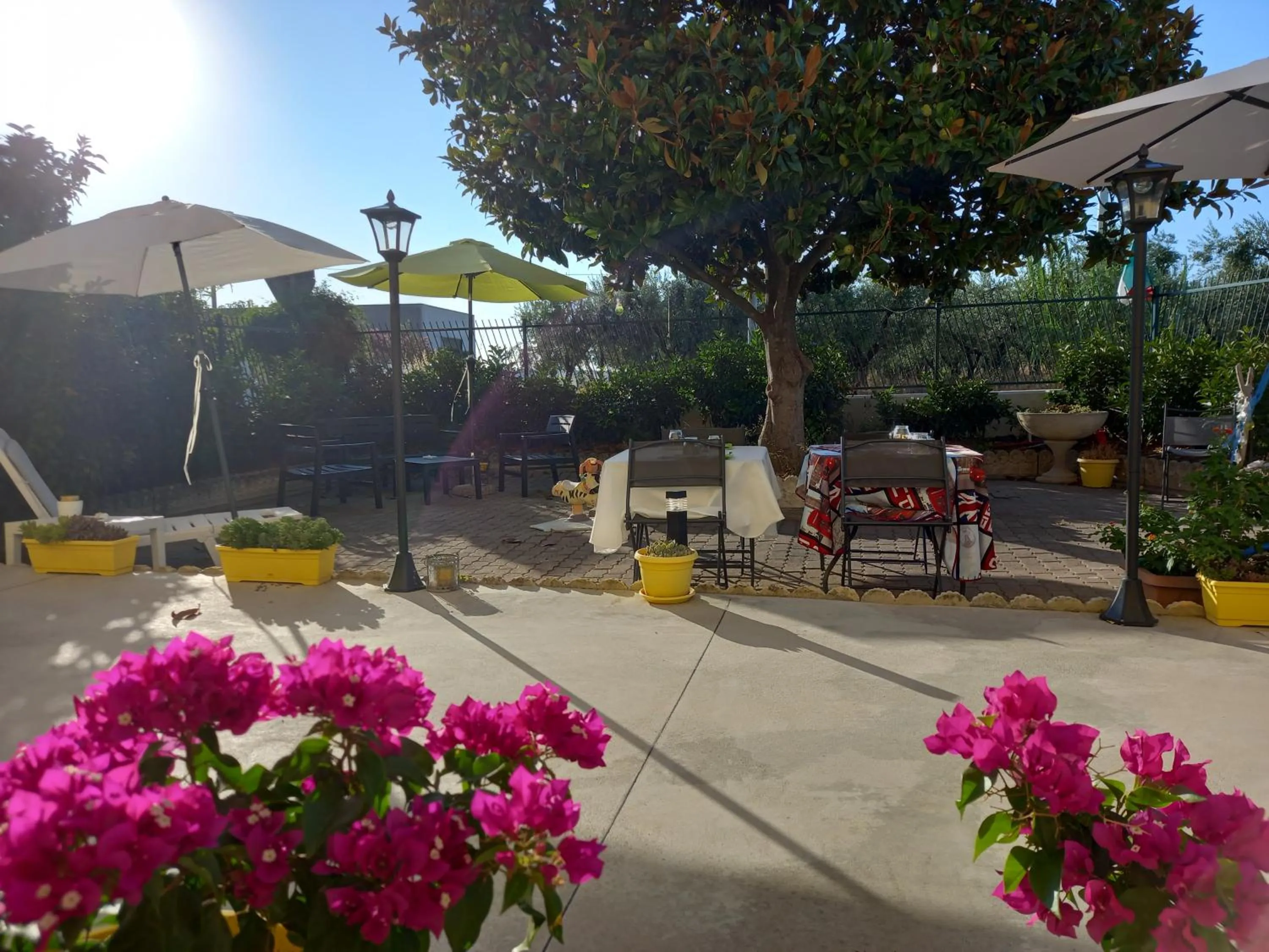 Garden in B&B IRIS COTTAGE