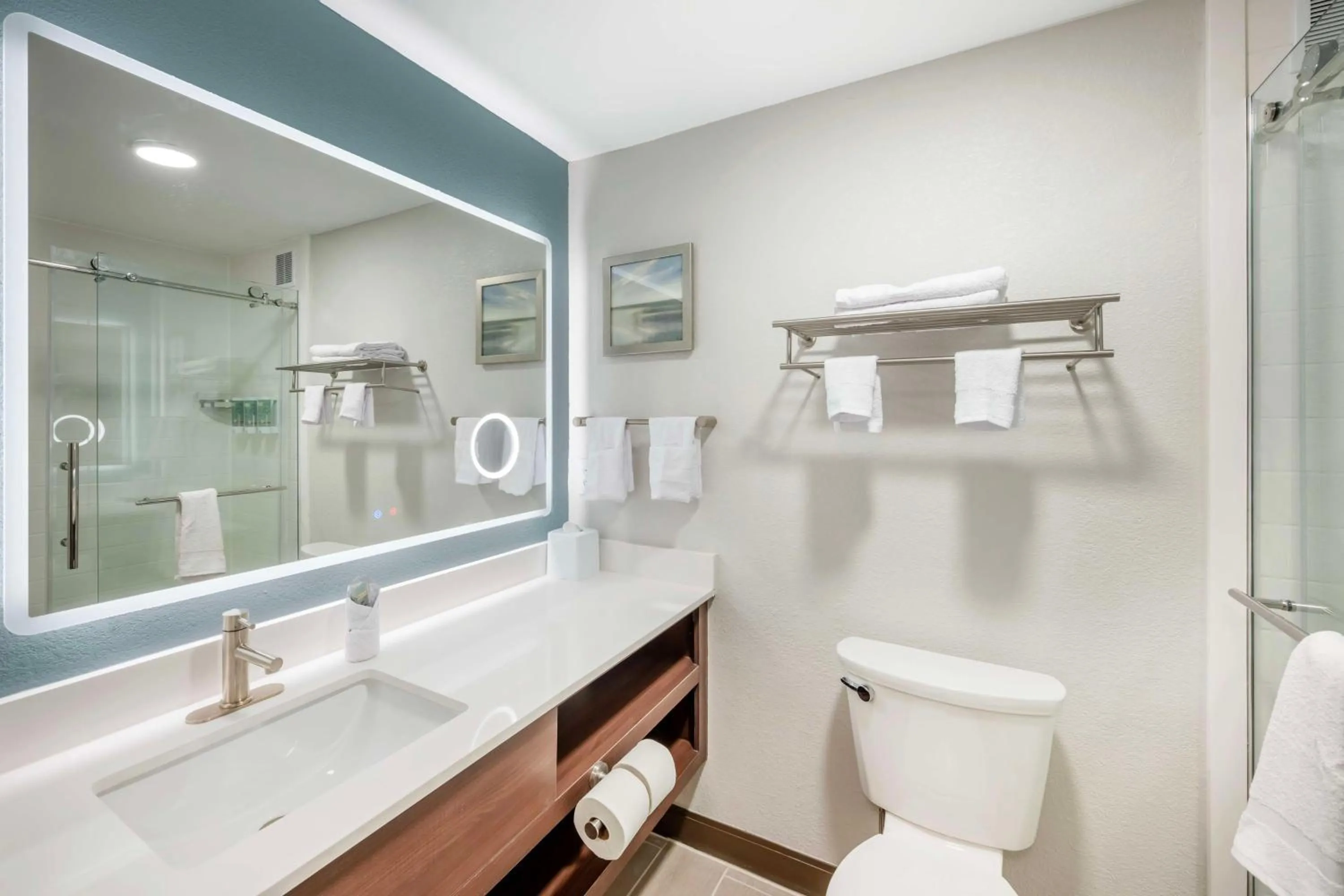 Bathroom in Best Western River Cities