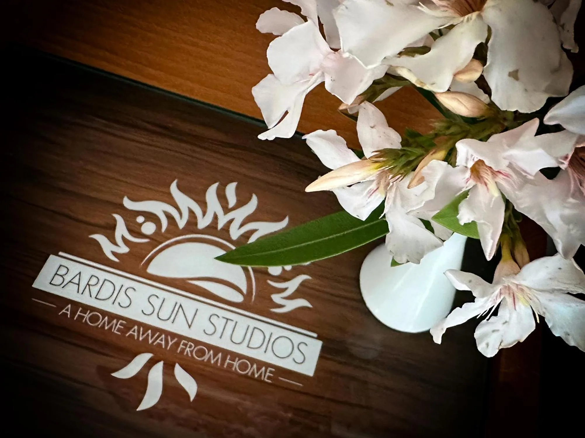 Logo/Certificate/Sign in Bardis Sun studios
