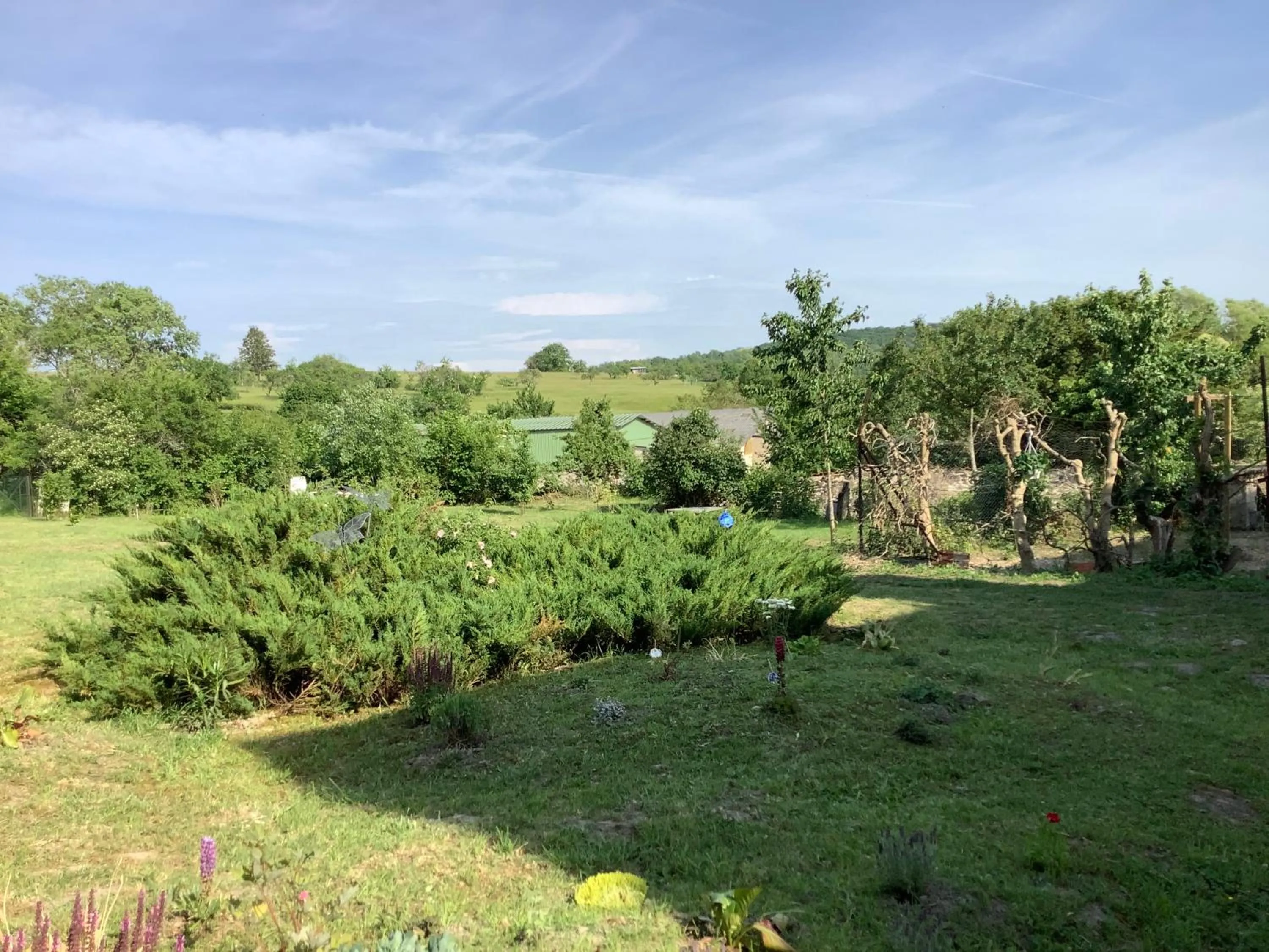 La Maison du Notaire - Chambre d'Hôtes - Huisdieren welkom