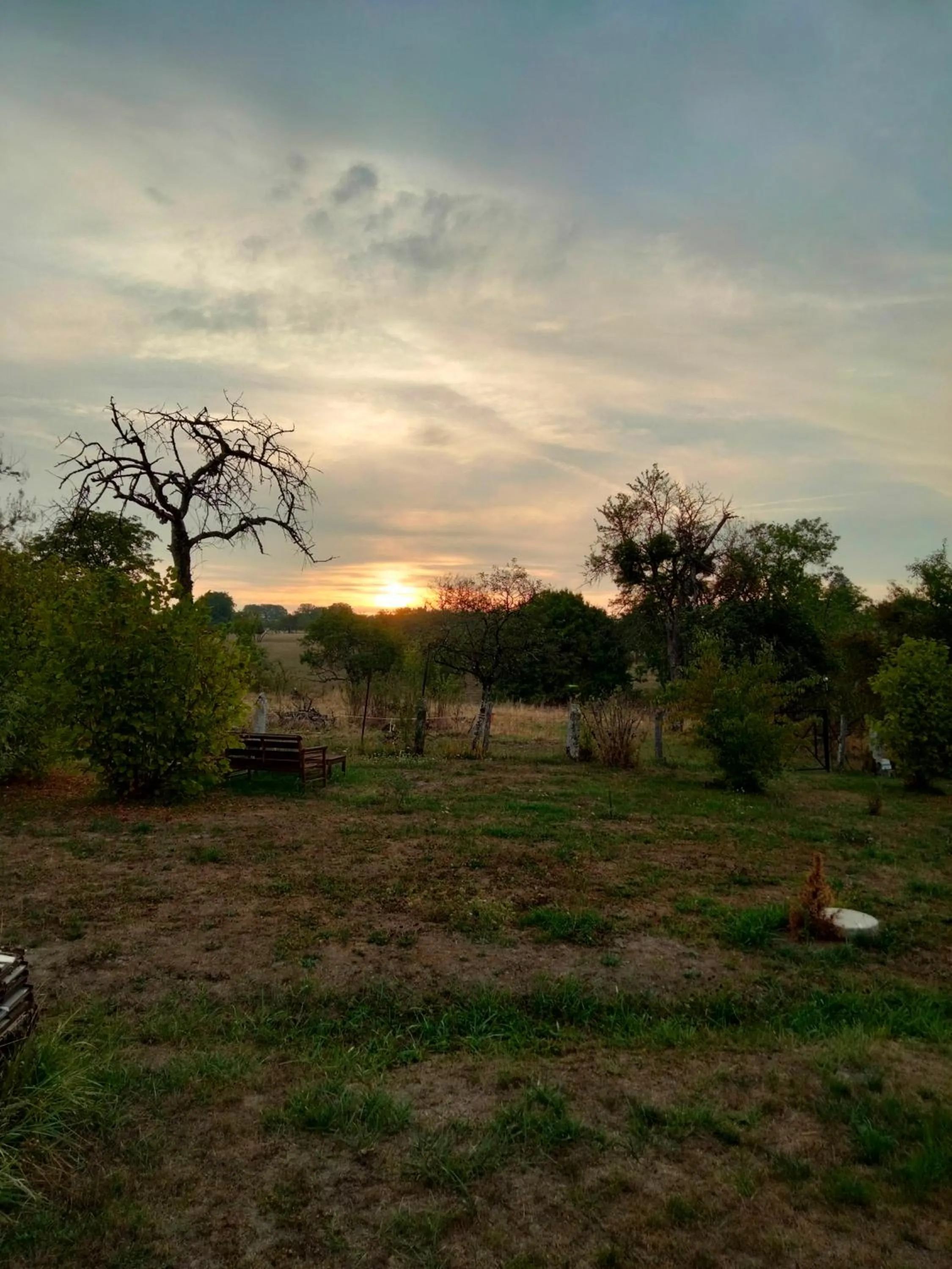 La Maison du Notaire - Chambre d'Hôtes - Huisdieren welkom
