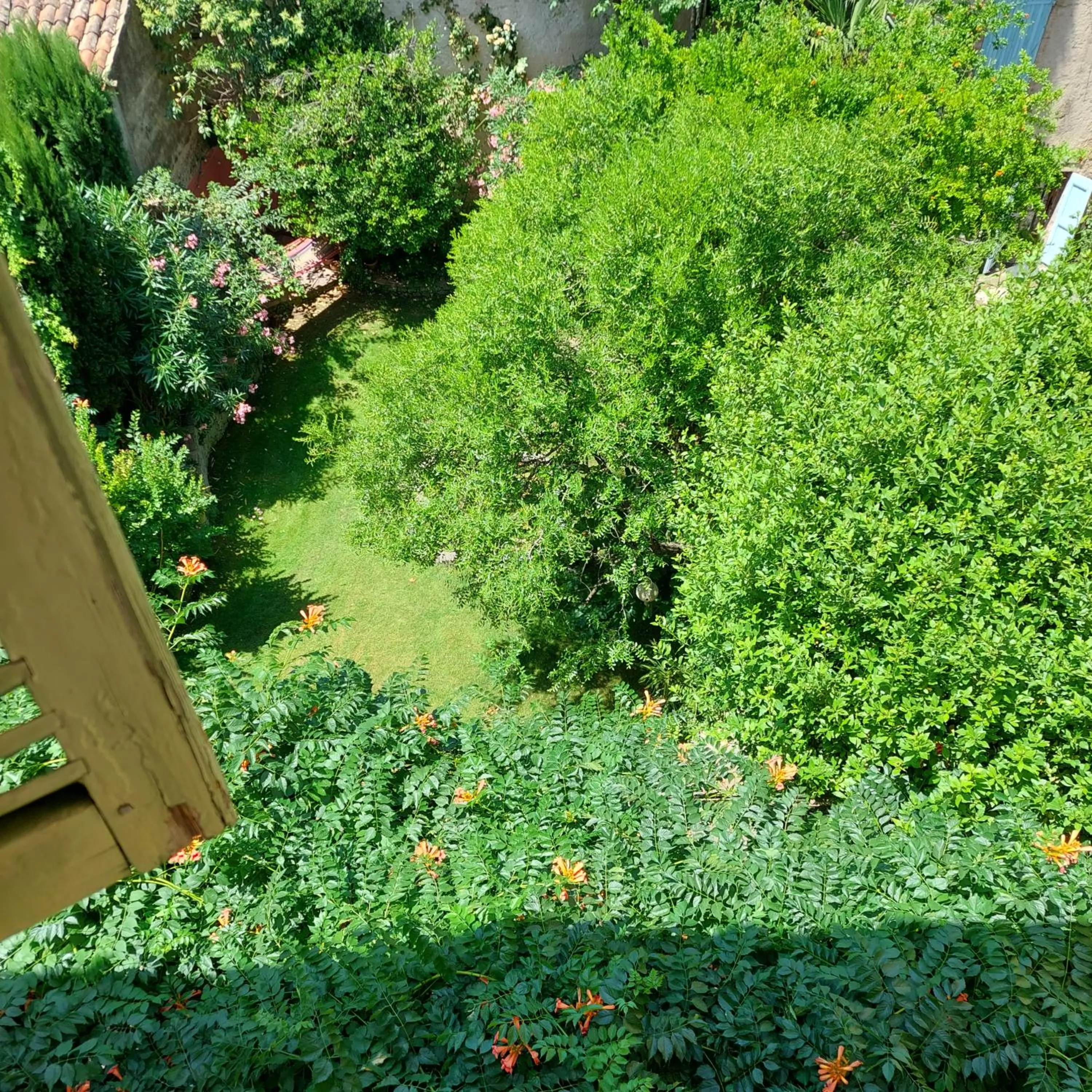 Garden view in La Cordeline